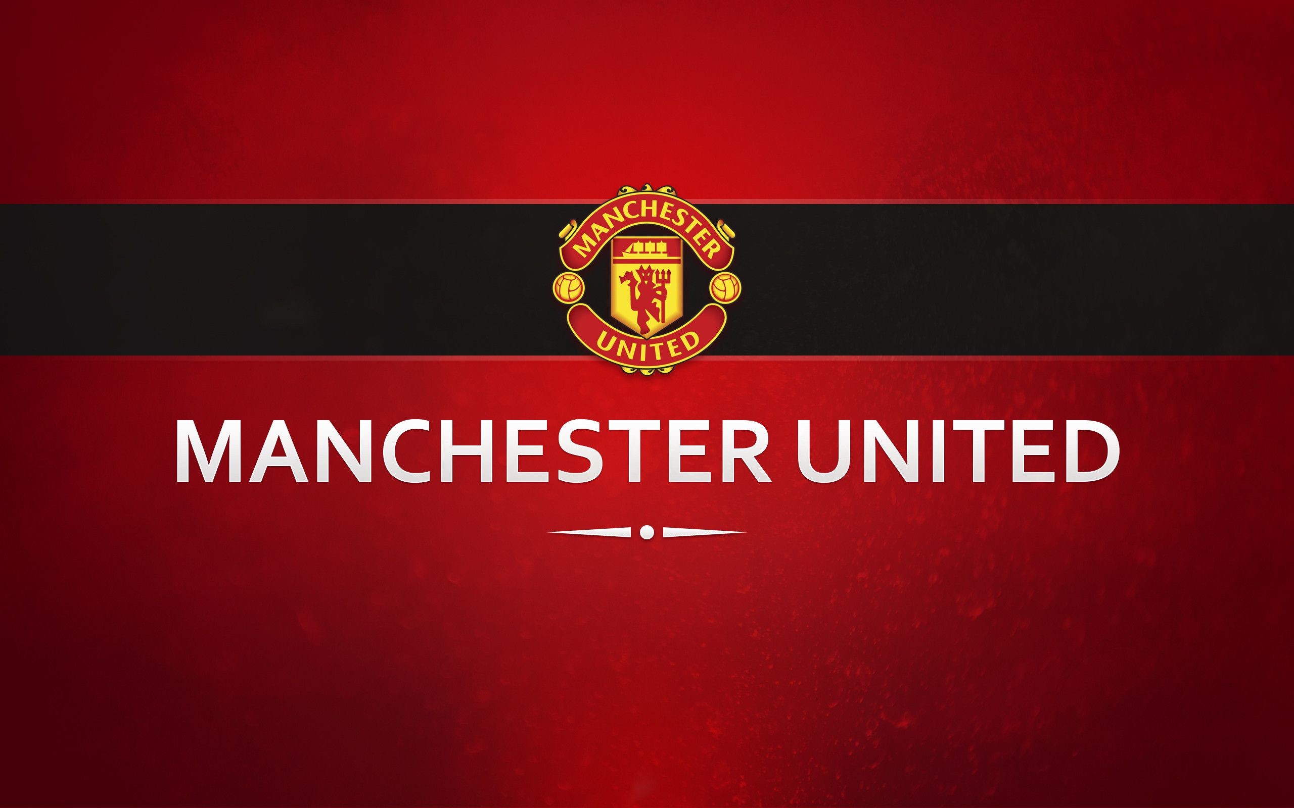 Manchester United Logo High Def Wallpaper Hd 2560x1600