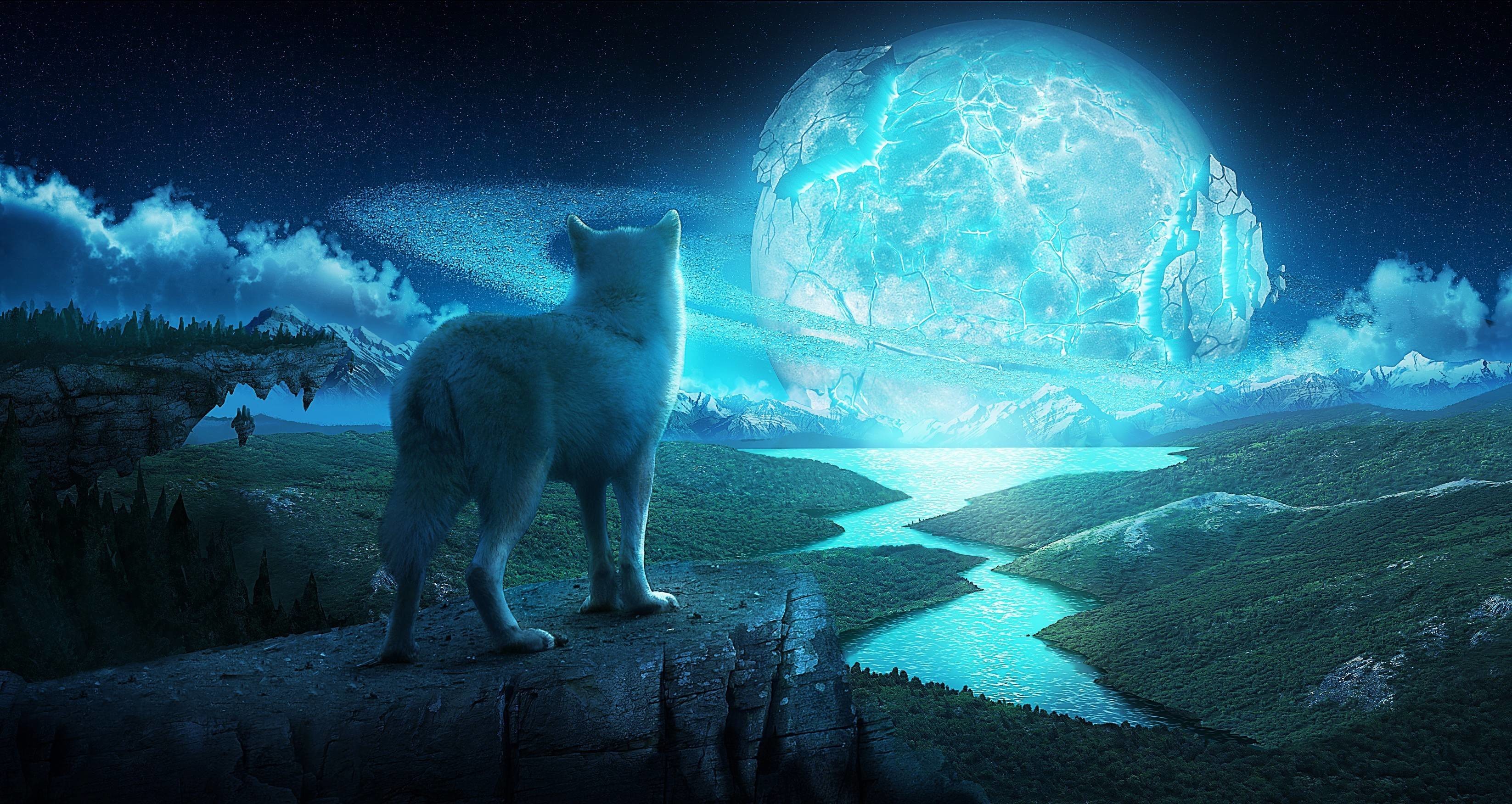 Wallpapers For Gt Fantasy Wolf Wallpaper 3293x1752