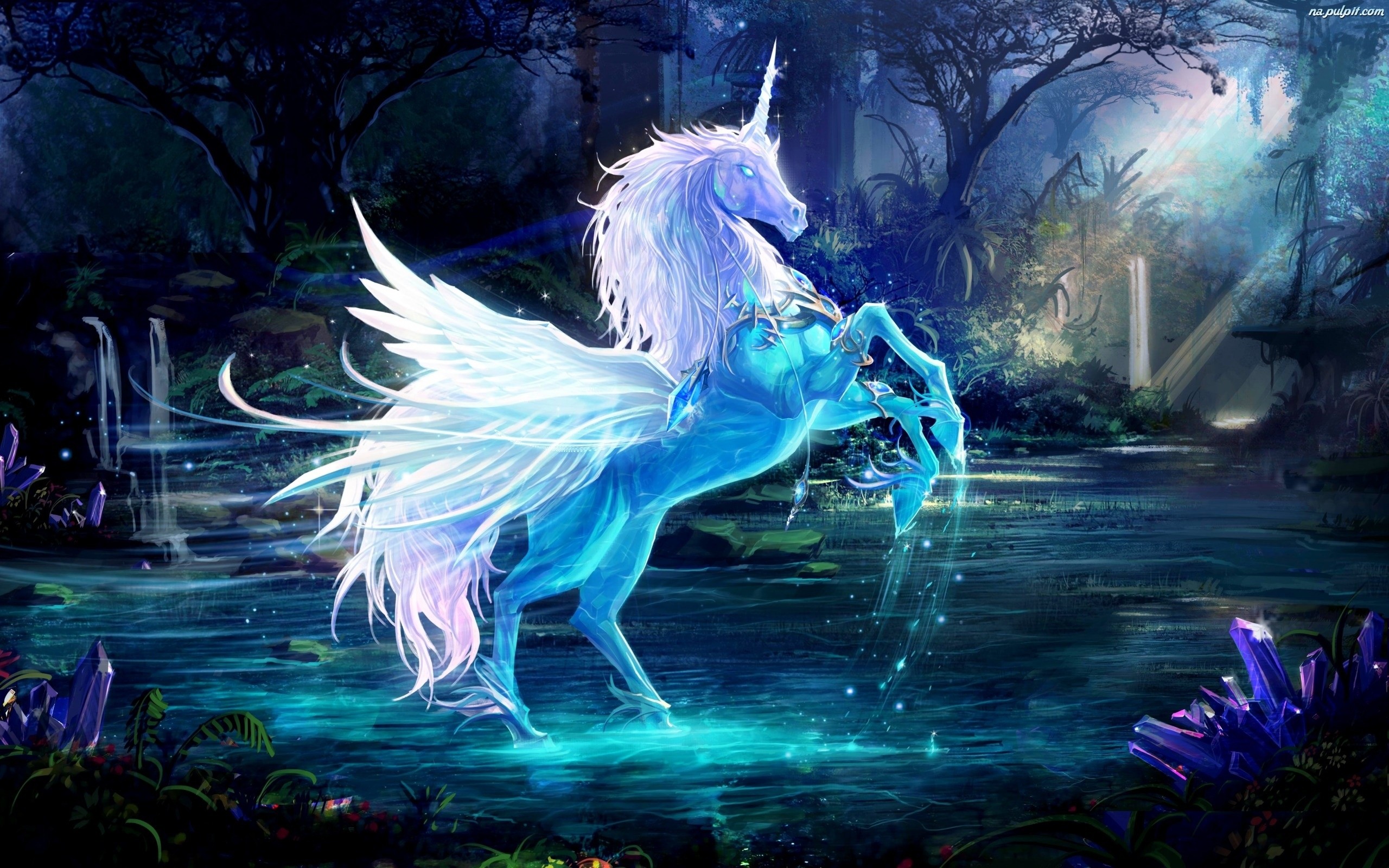 Fantasy Wallpapers Free Download 2560x1600