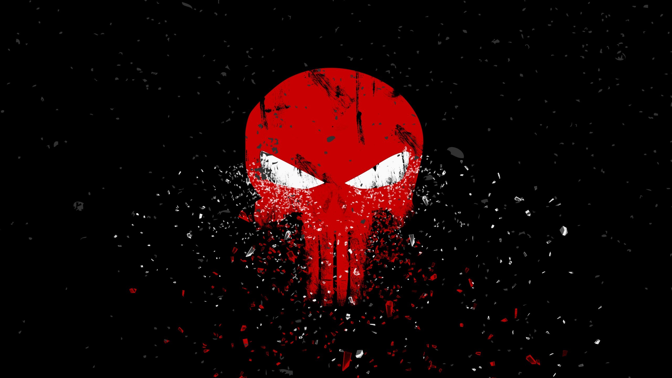 Punisher Logo Wallpaper 729302 2560x1440
