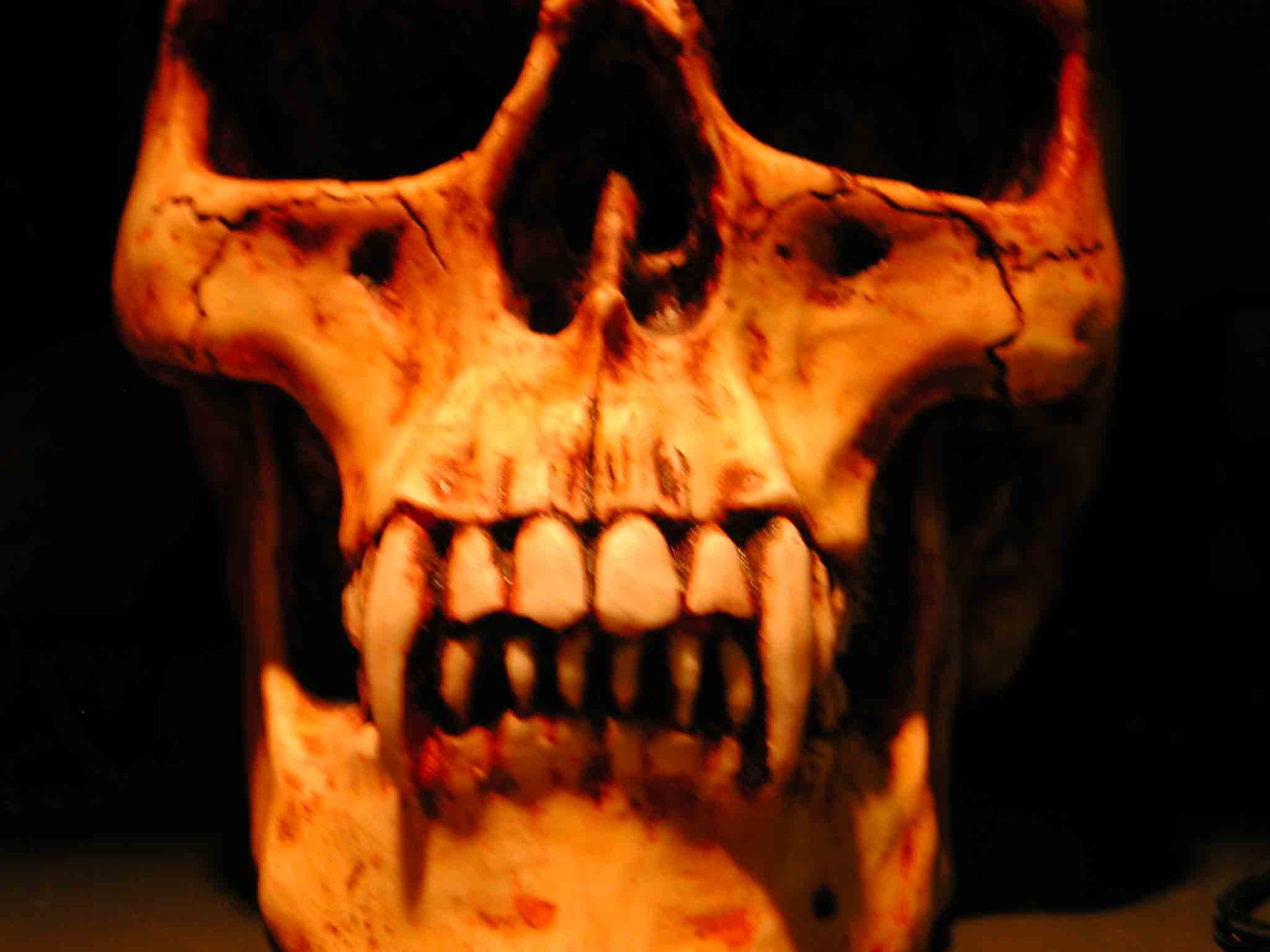 Vampire Skull Wallpaper Vampire Skull By 2048x1536 2048x1536