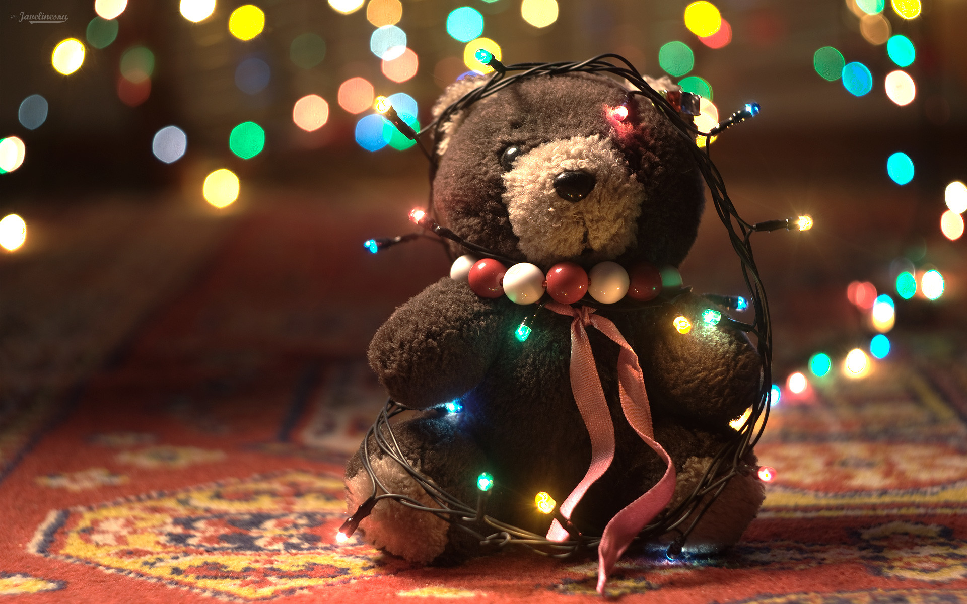 Adorable Teddy Bear 1920x1200