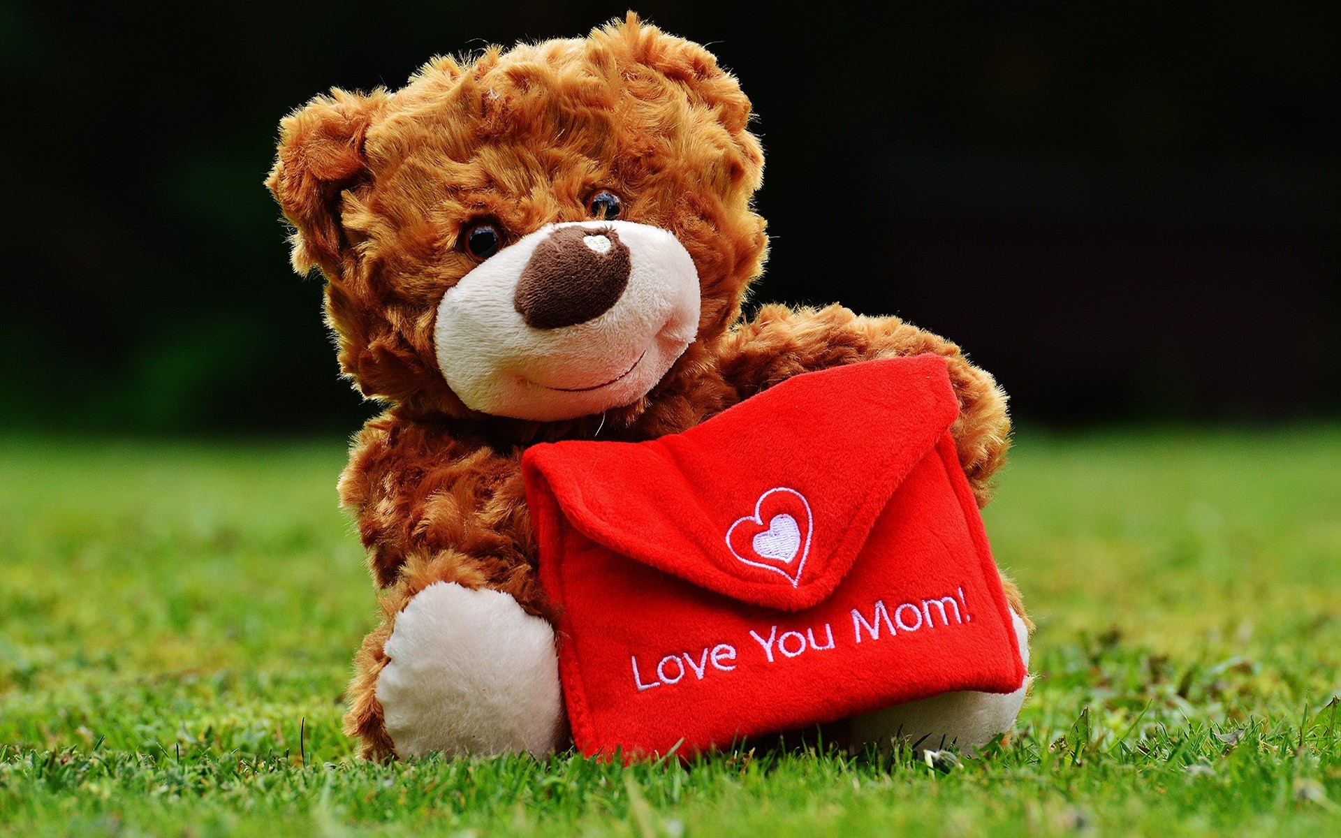 Lovely And Beautiful Teddy Bear Wallpapers Allfreshwallpaper Cute 1920x1200