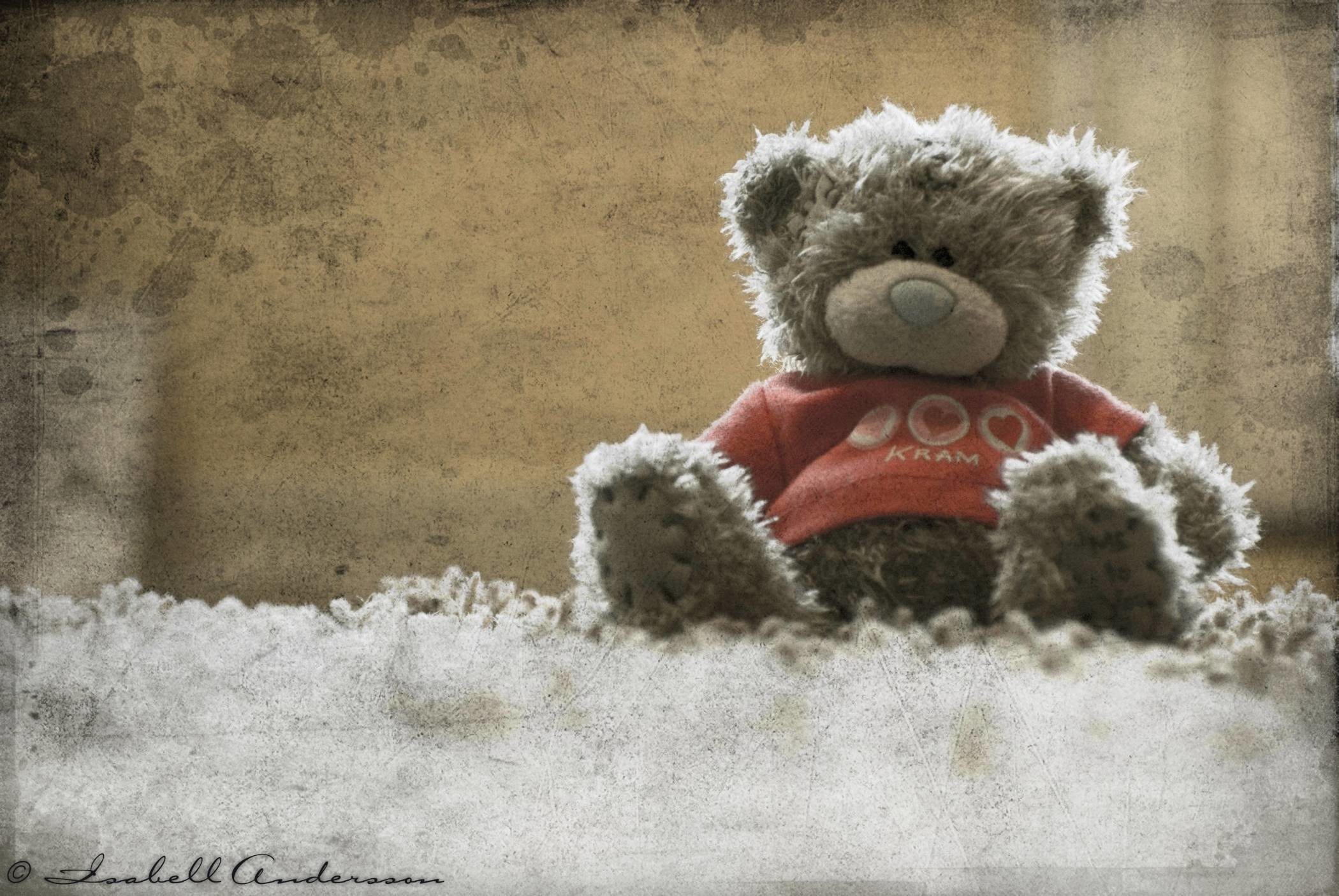Cute Teddy Bear Wallpapers 2100x1406