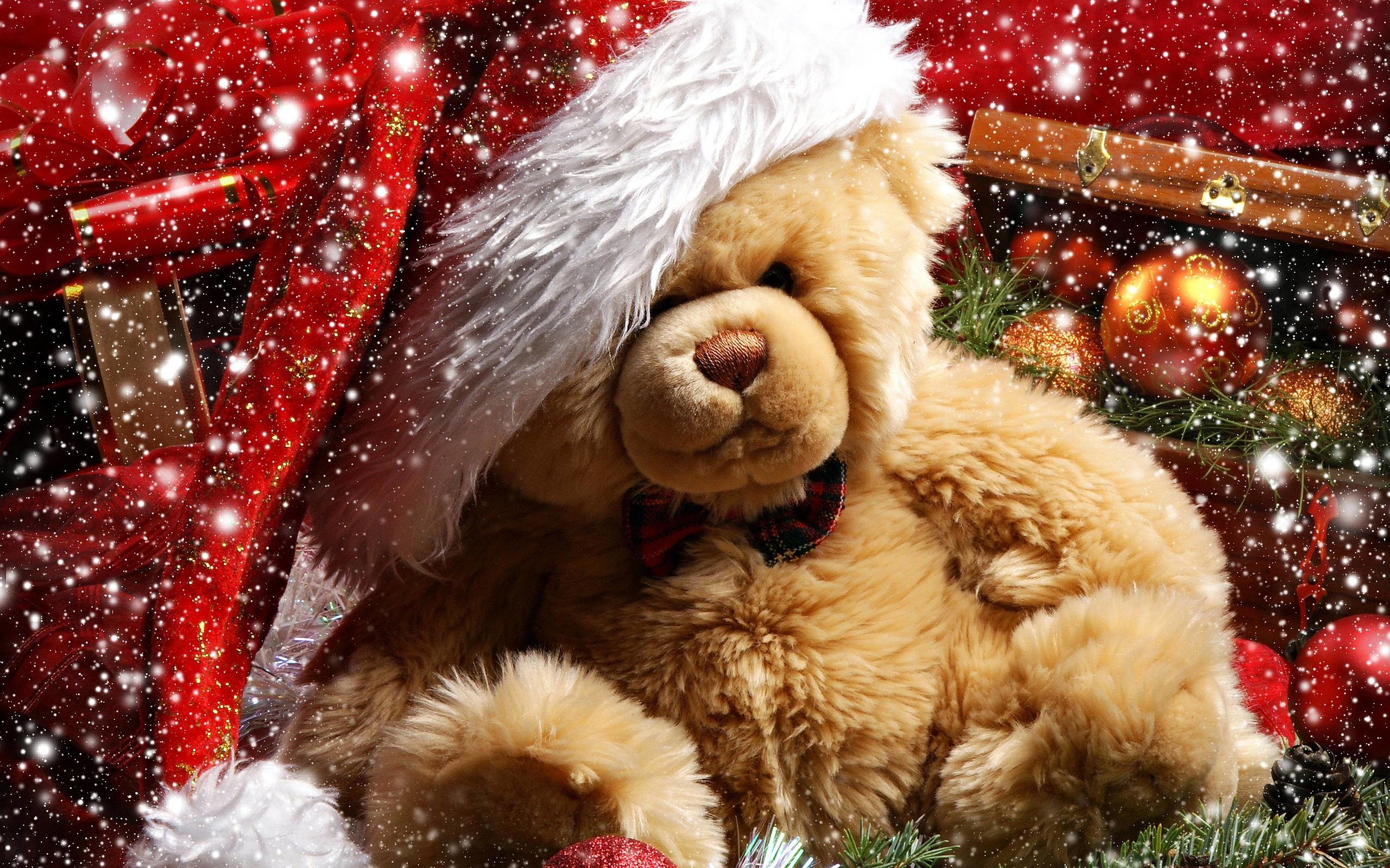 Teddy Bear Wallpapers Picture 2560x1600