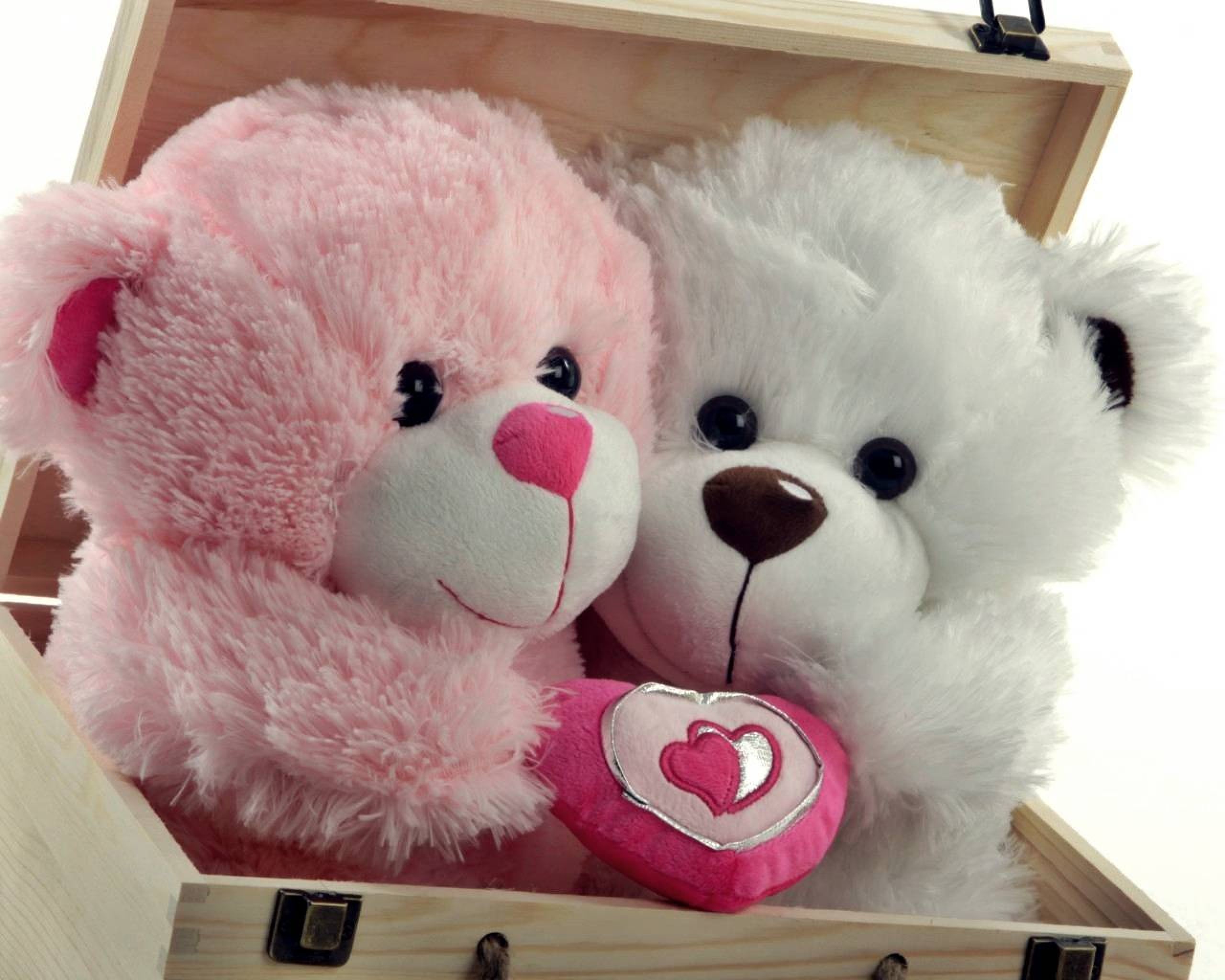 Cute Teddy Bear 2560x2048