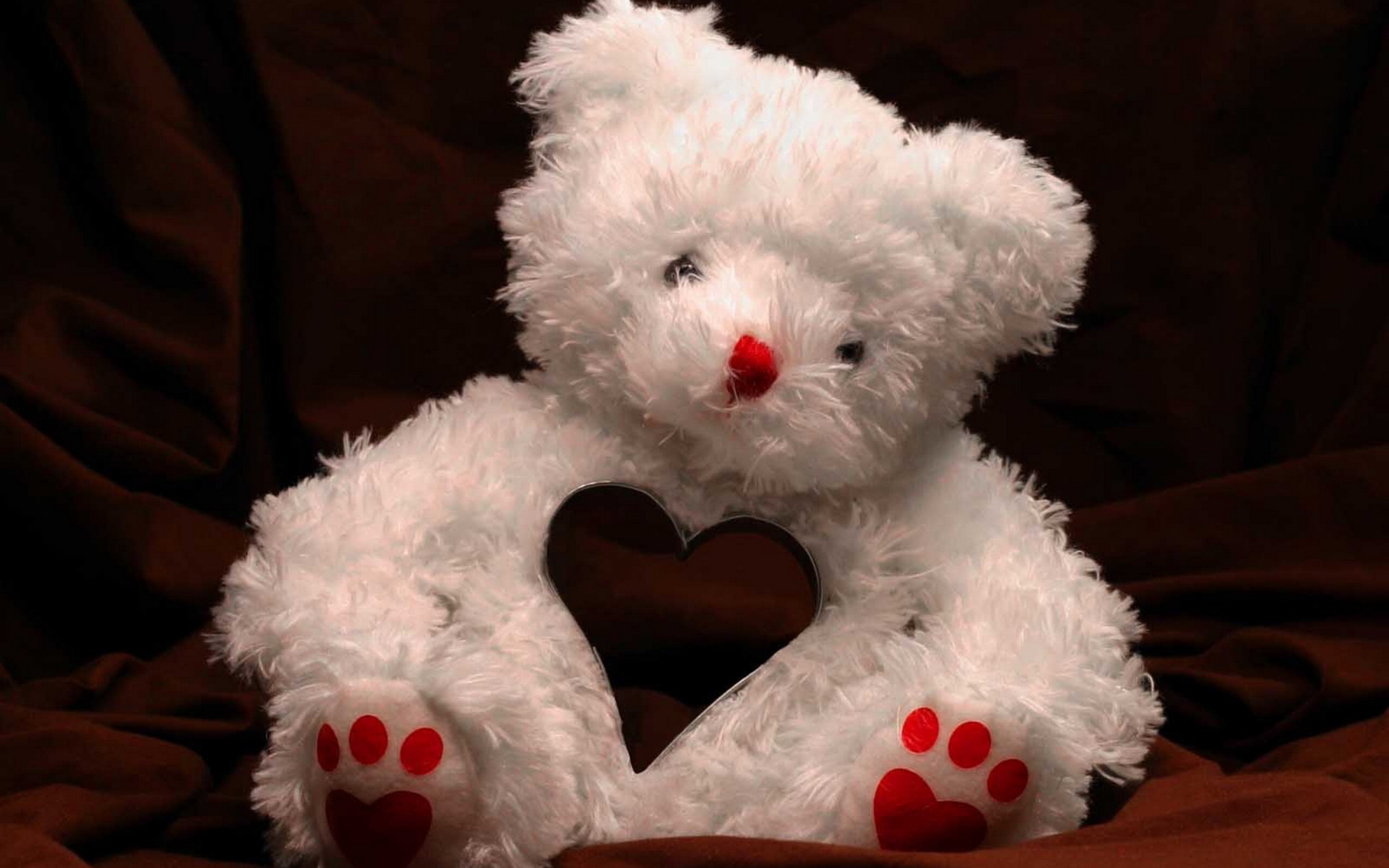 Cute Teddy Bear 2880x1800