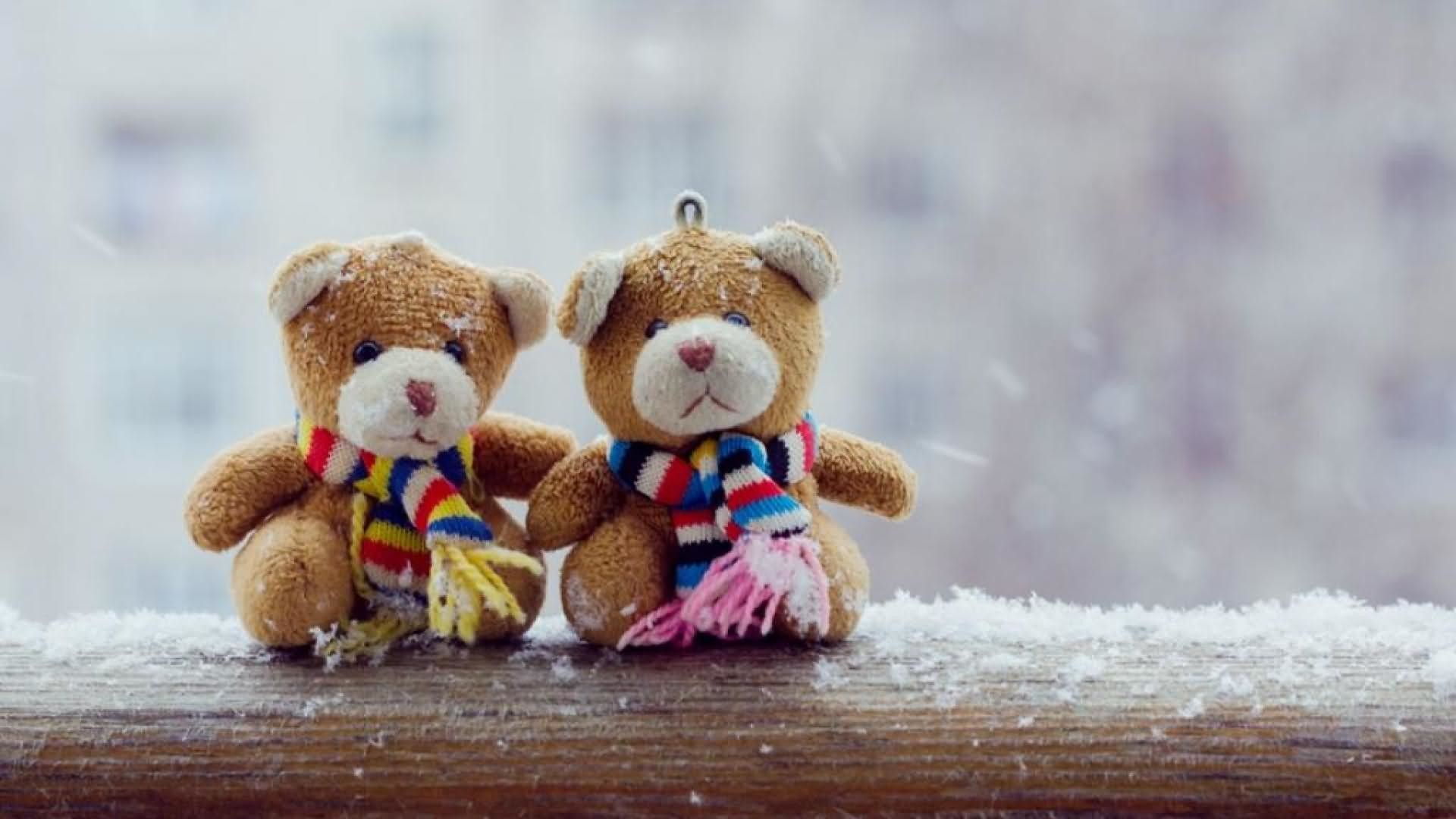 Lovely And Beautiful Teddy Bear Wallpapers Allfreshwallpaper 1920x1080 1920x1080