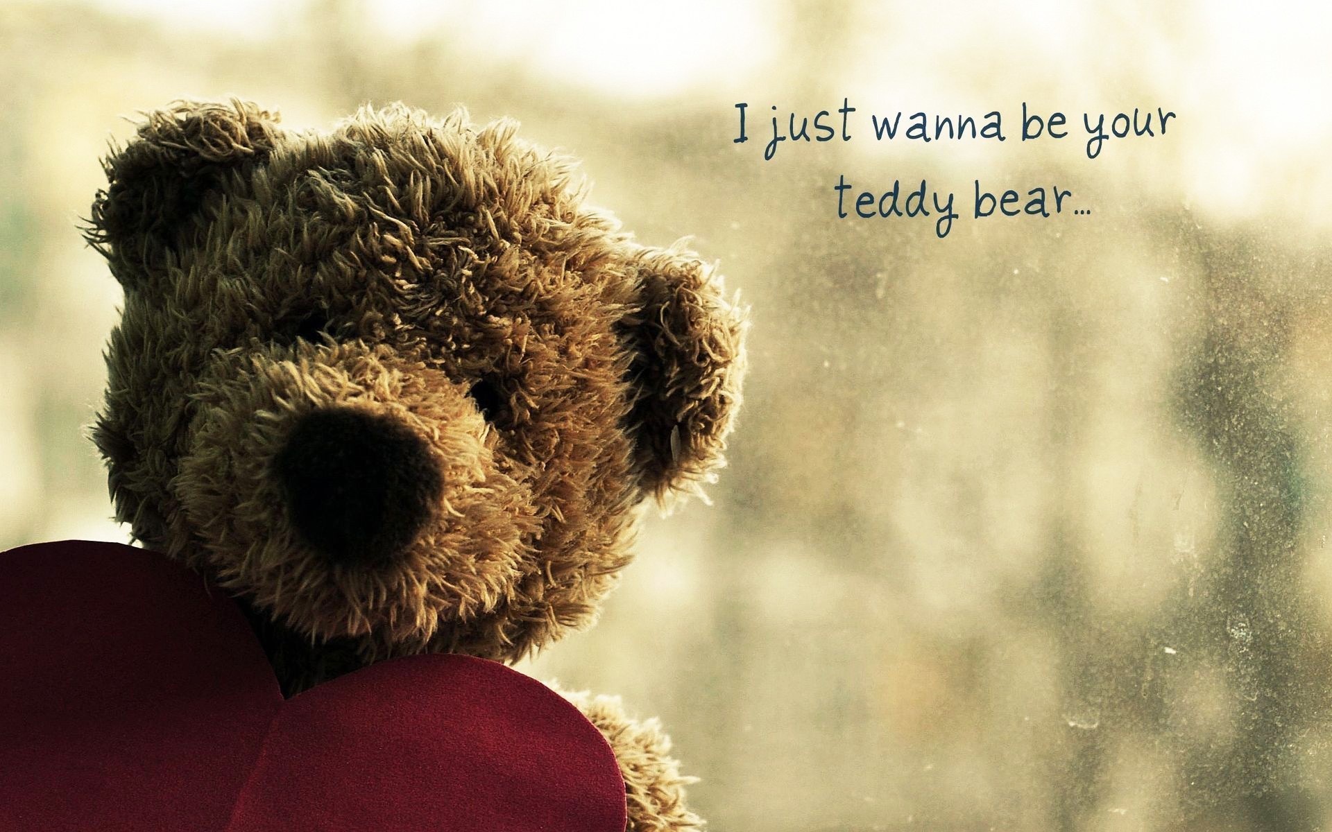 Teddy Bear Cute Funny Wallpaper Download 1920x1200