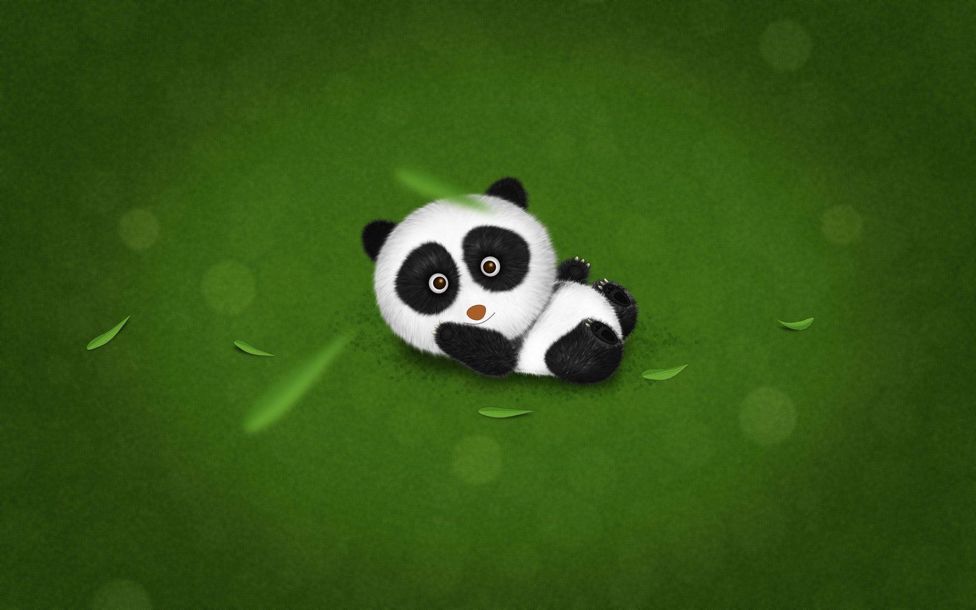 Cute Baby Panda Wallpaper 1264286 1920x1200