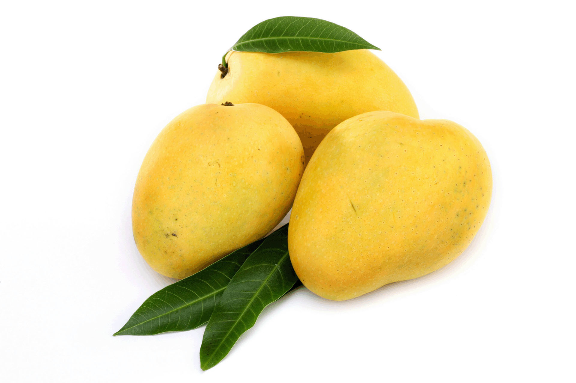 Beautiful Fresh Fruit Mango Desktop Photos 1920x1279