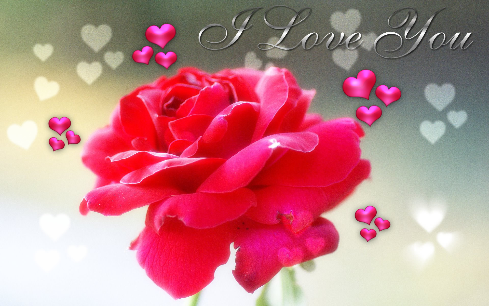 Valentine Weeks Special Top 500 Most Beautiful Rose Day Love Wallpapers Pictures Images Photos Greetings Quotes Wishes Ecard Of Rose Day Part 1 1920x1201
