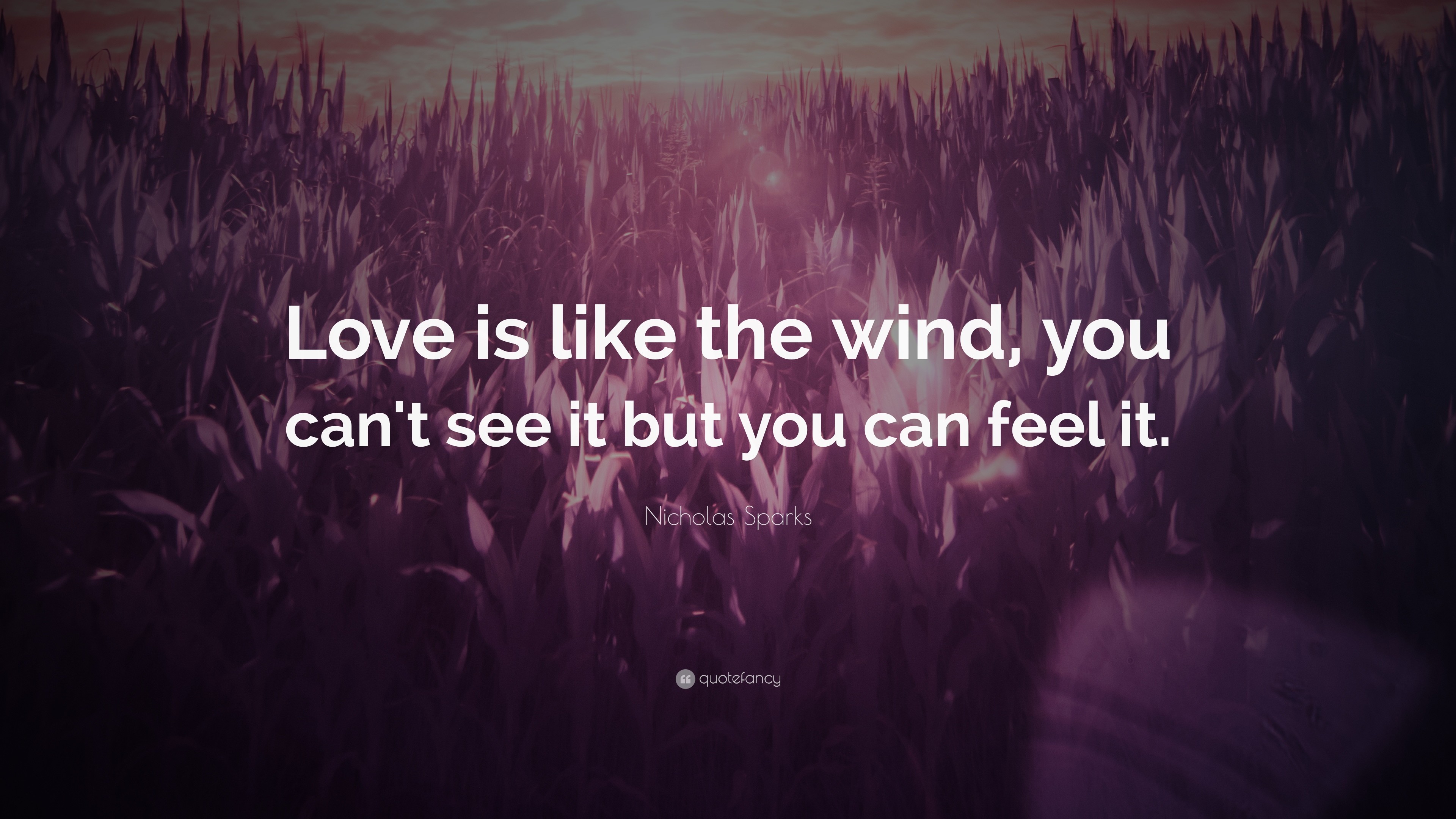 Love Quotes Love Is Like The Wind You Can 039 T See It 3840x2160