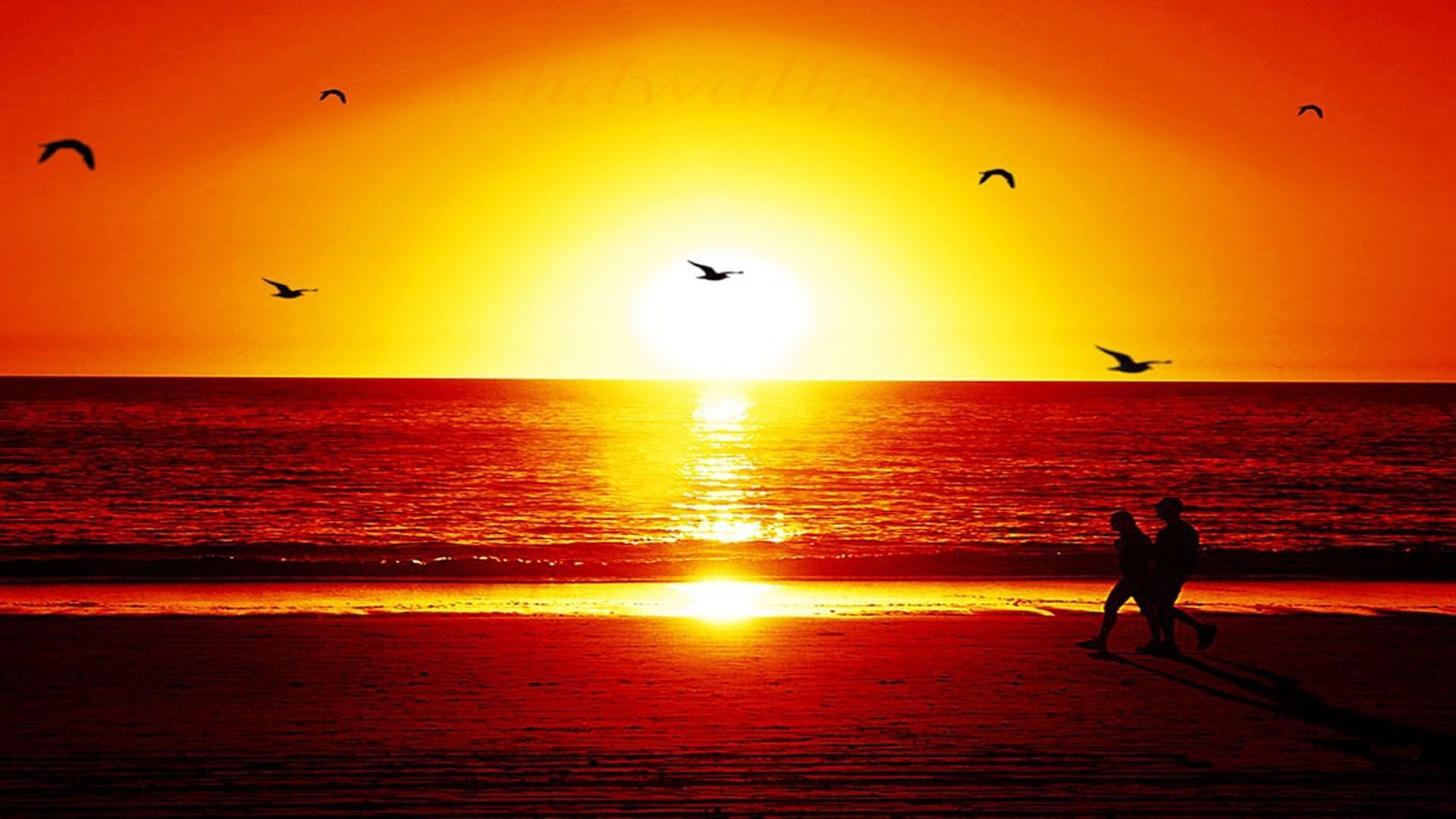 Sunset Wallpapers Hd A14 1920x1080