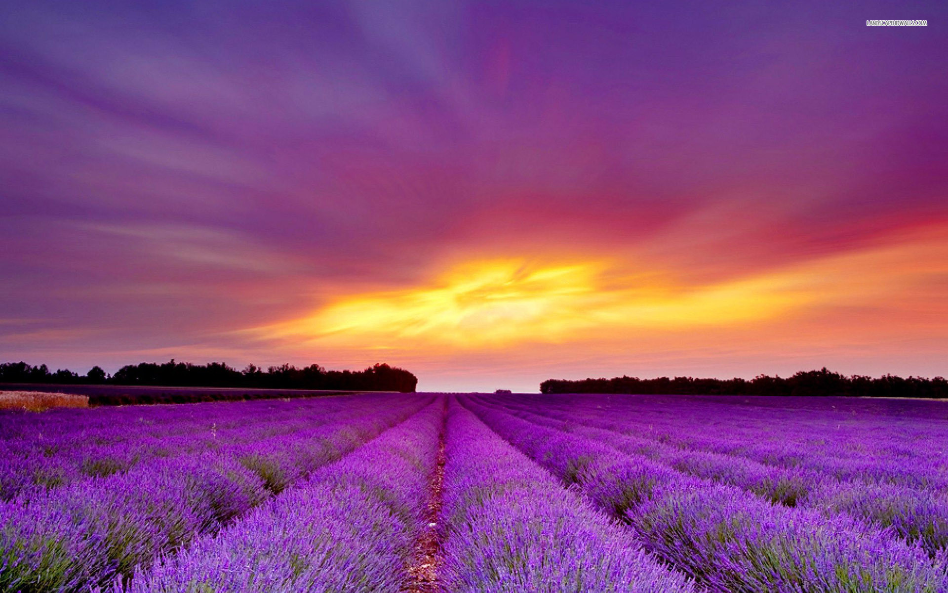 Purple Sunset Wallpaper Desktop Image Gallery Hcpr 1920x1200