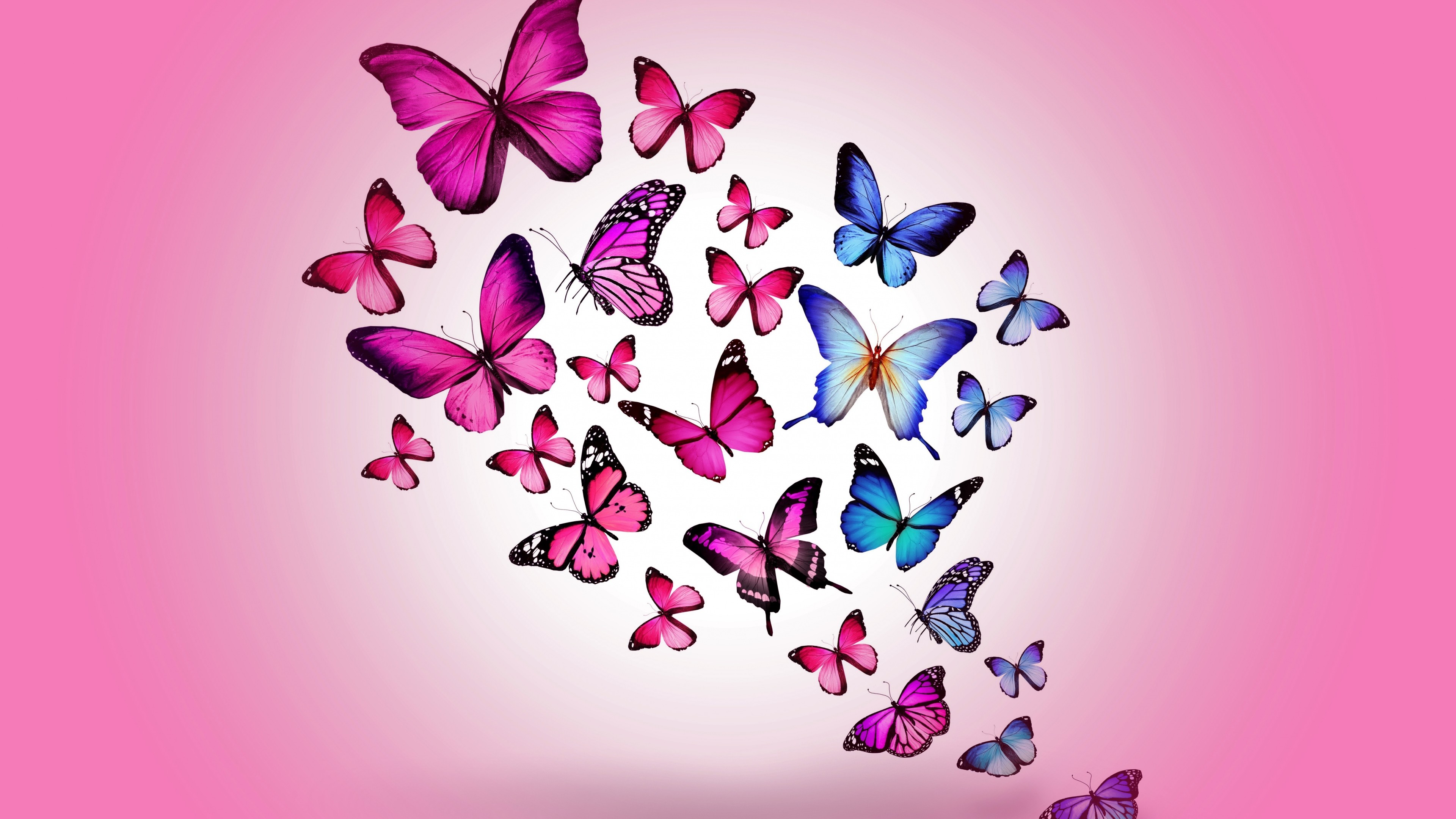 Butterfly Wallpaper 26 3840x2160