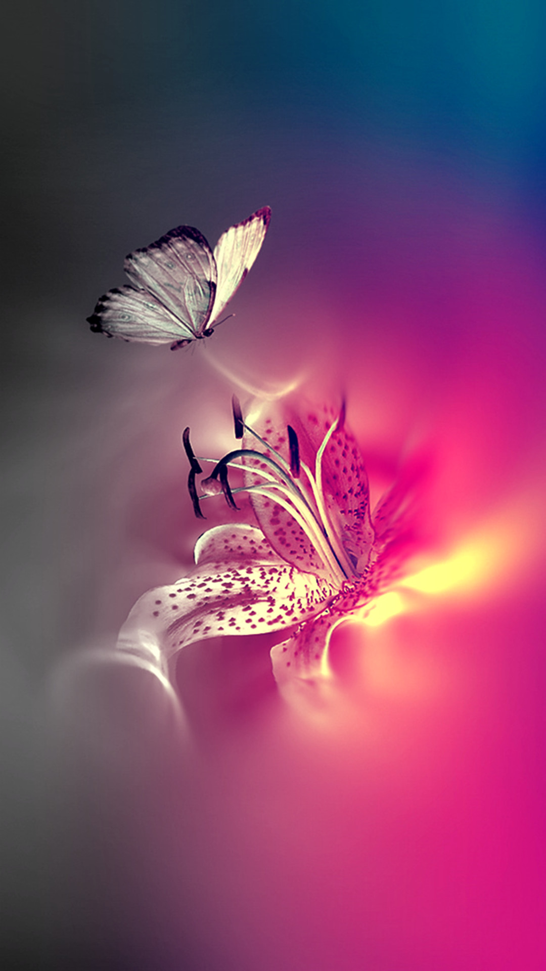 Tap To See More Beautiful Nature Iphone Wallpapers Butterfly And Flowers 1080x1920