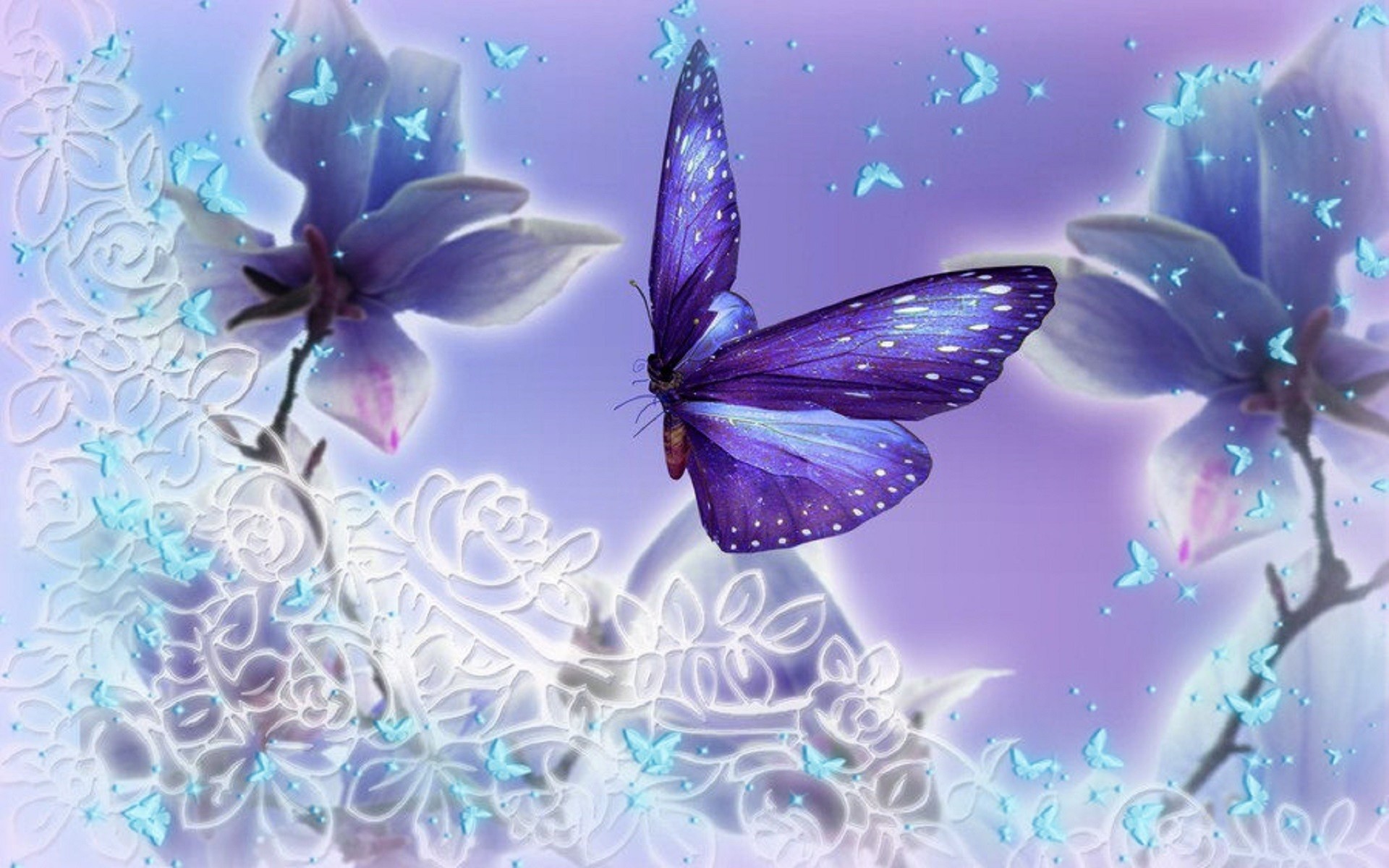 Download Purple Butterfly Wallpaper Images N1s 1920x1200 Px 448 80 Kb 1920x1200