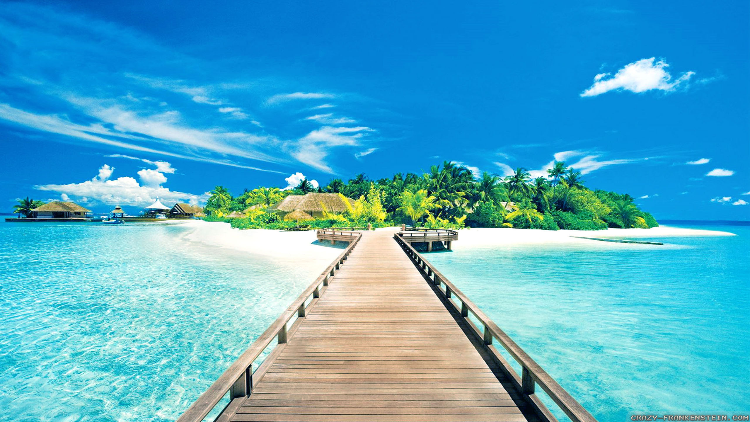 Maldives Summer Background Hd Background Wallpapers Free Cool 2560x1440