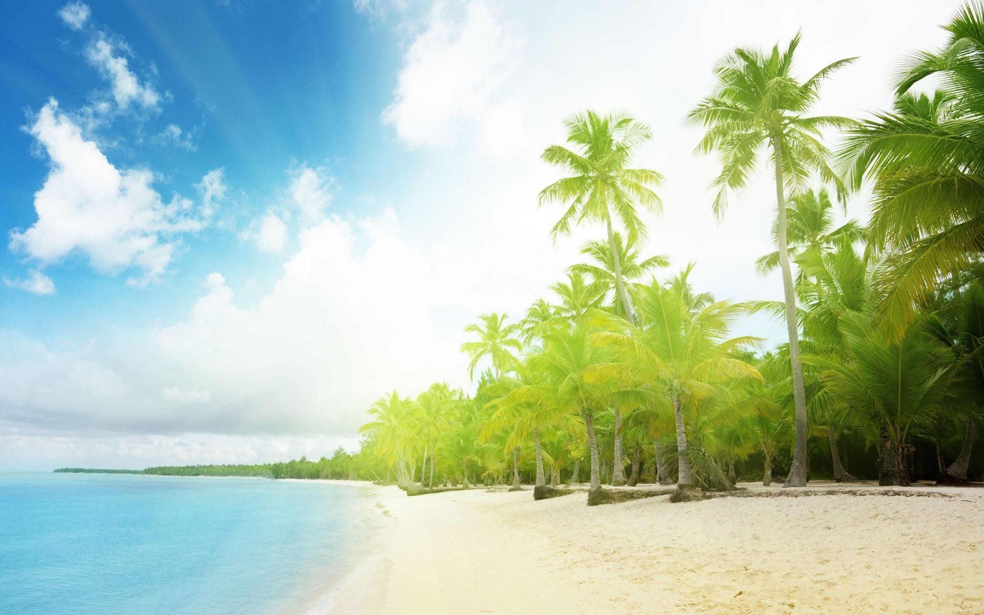Summer Background Images Amp Pictures Becuo 1920x1200
