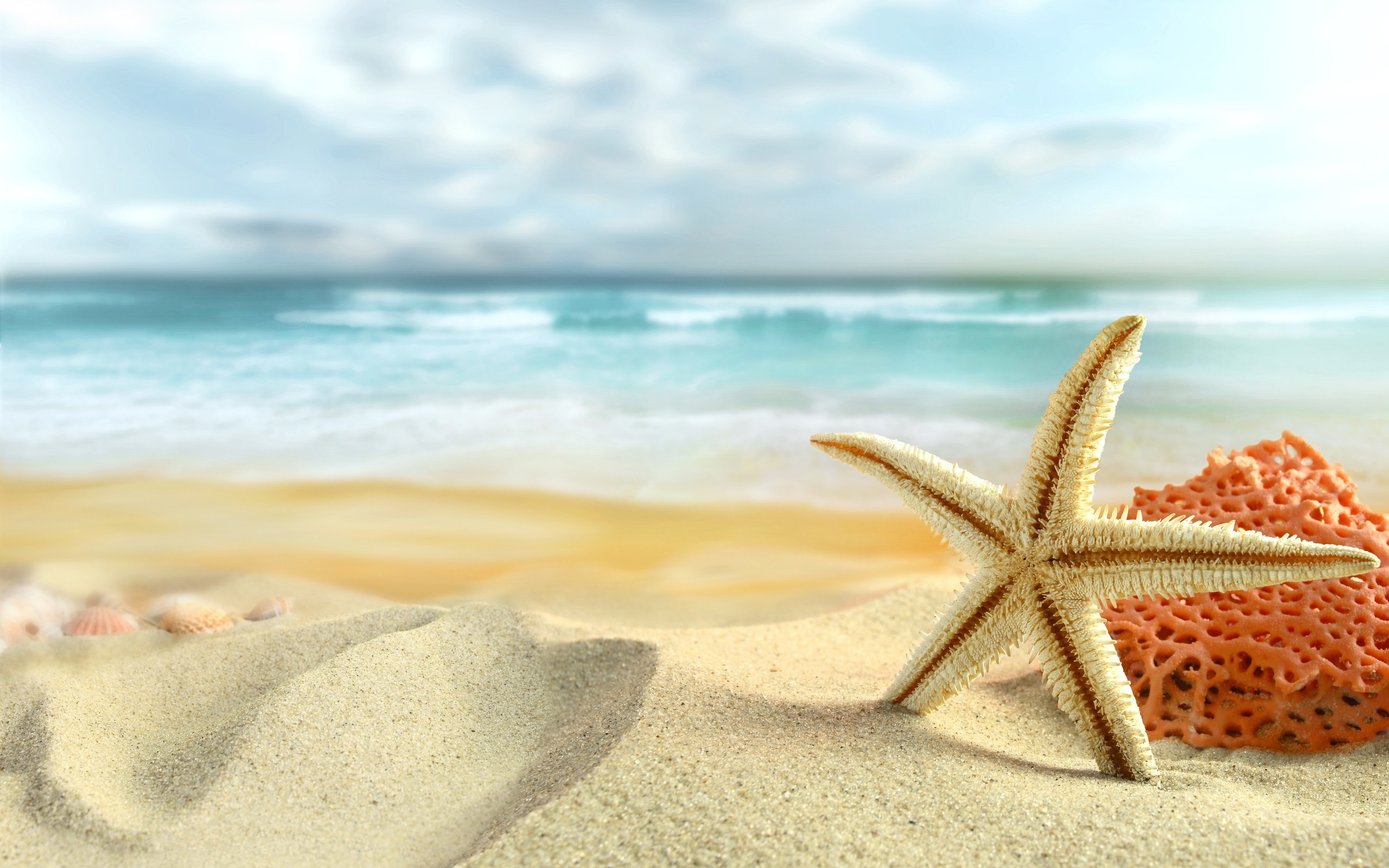 Summer Background Hd Wallpapers 13960 Hd Wallpapers Site 2560x1600