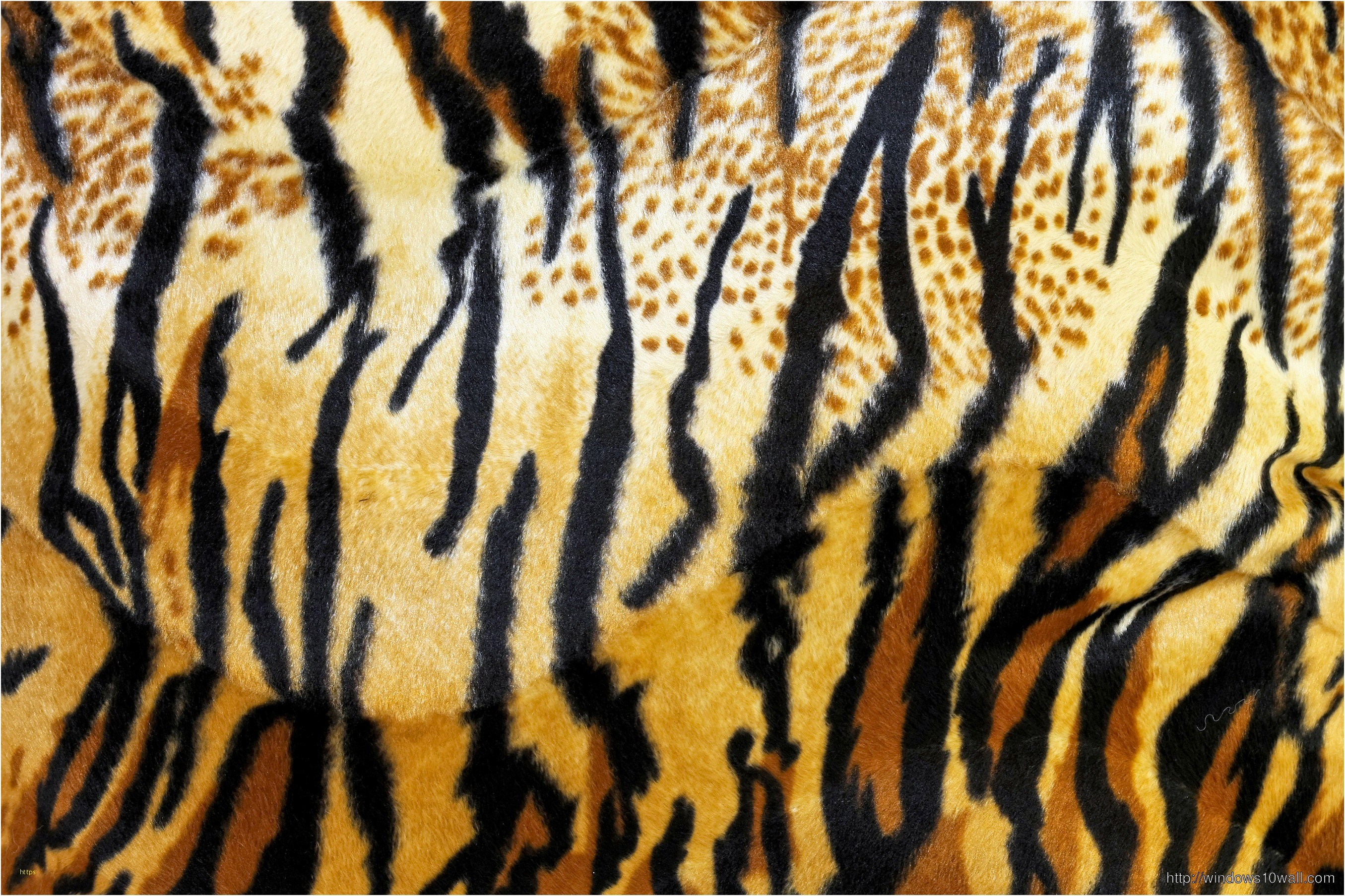 Animal Print Wallpaper Best Of Animal Page 2 Windows 10 Wallpapers 2711x1807