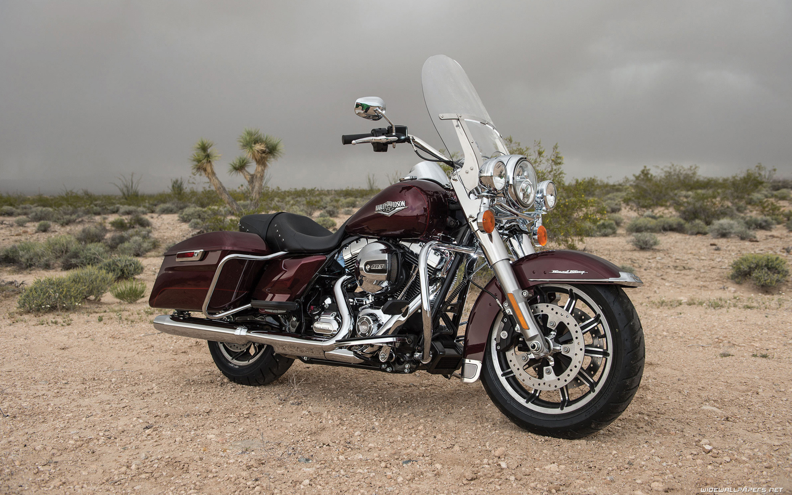 Harley Davidson Touring Road King 2560x1440 2560x1600 3840x2160 2560x1600
