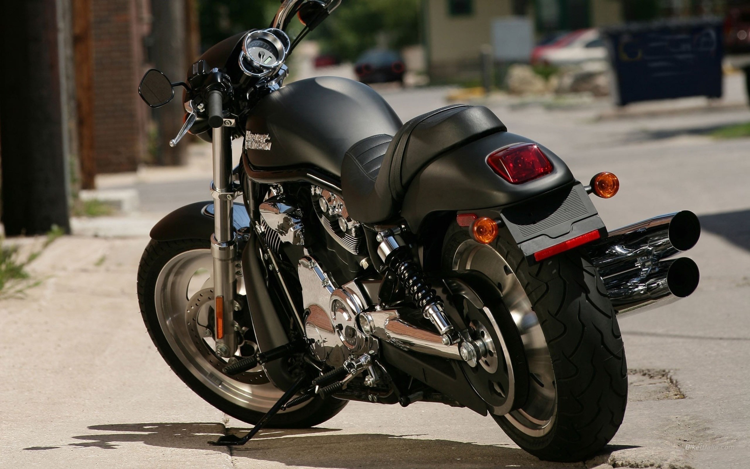 Harley Davidson Back View Bike Wallpaper Hd 2560x1600