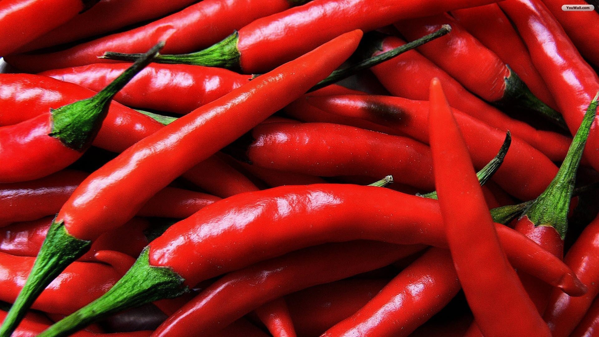 Backgrounds In High Quality Pepper By Lynsey Azar August 6 2022 1920x1080