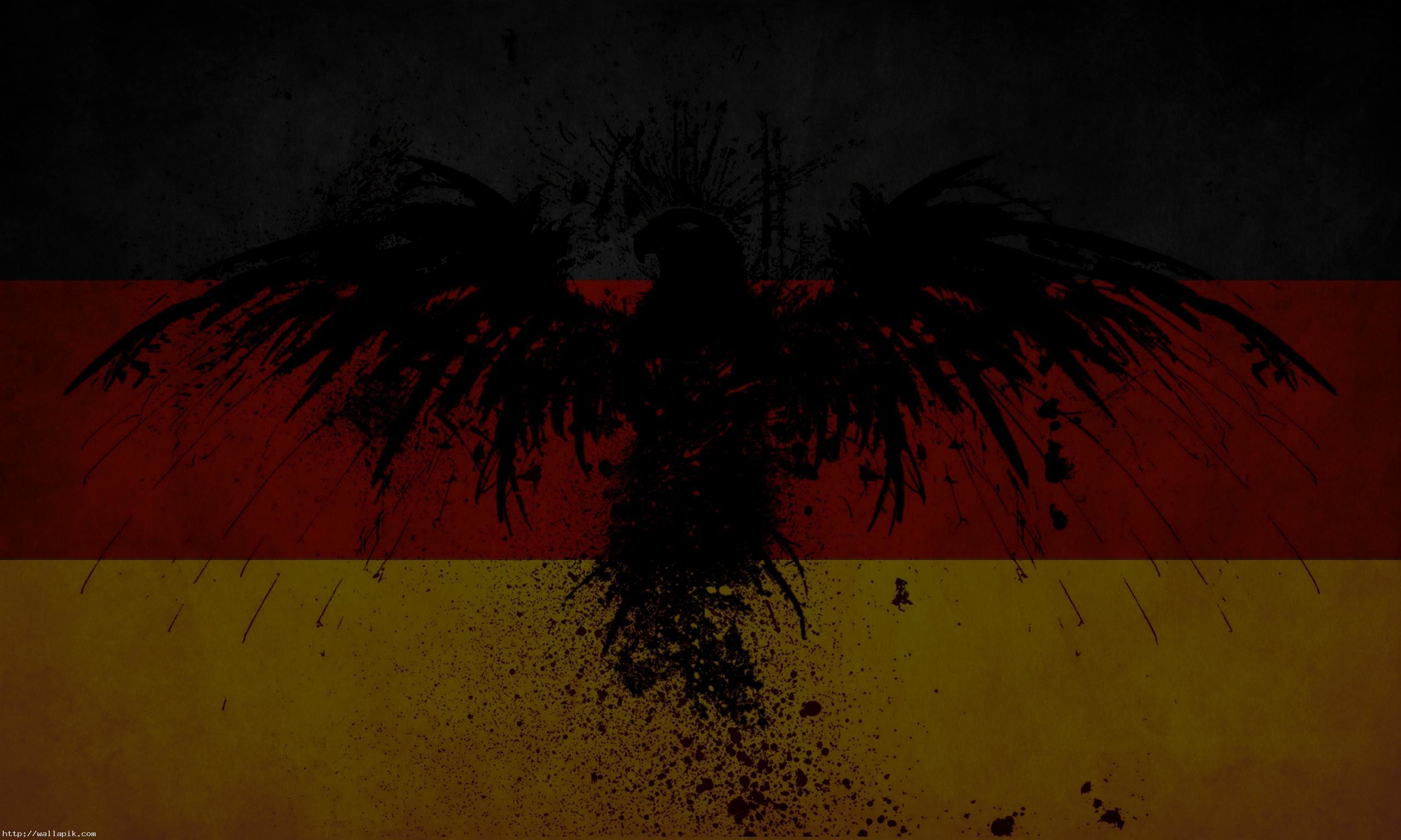 German Flag Eagle Wallpaper 2560x1536