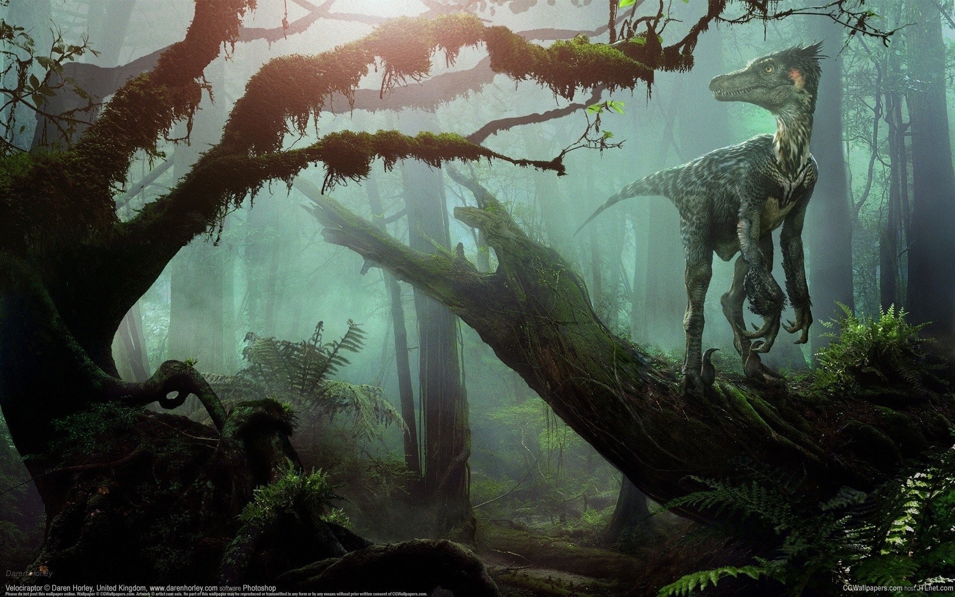 Velociraptor Forest Dinosaur 1920x1200