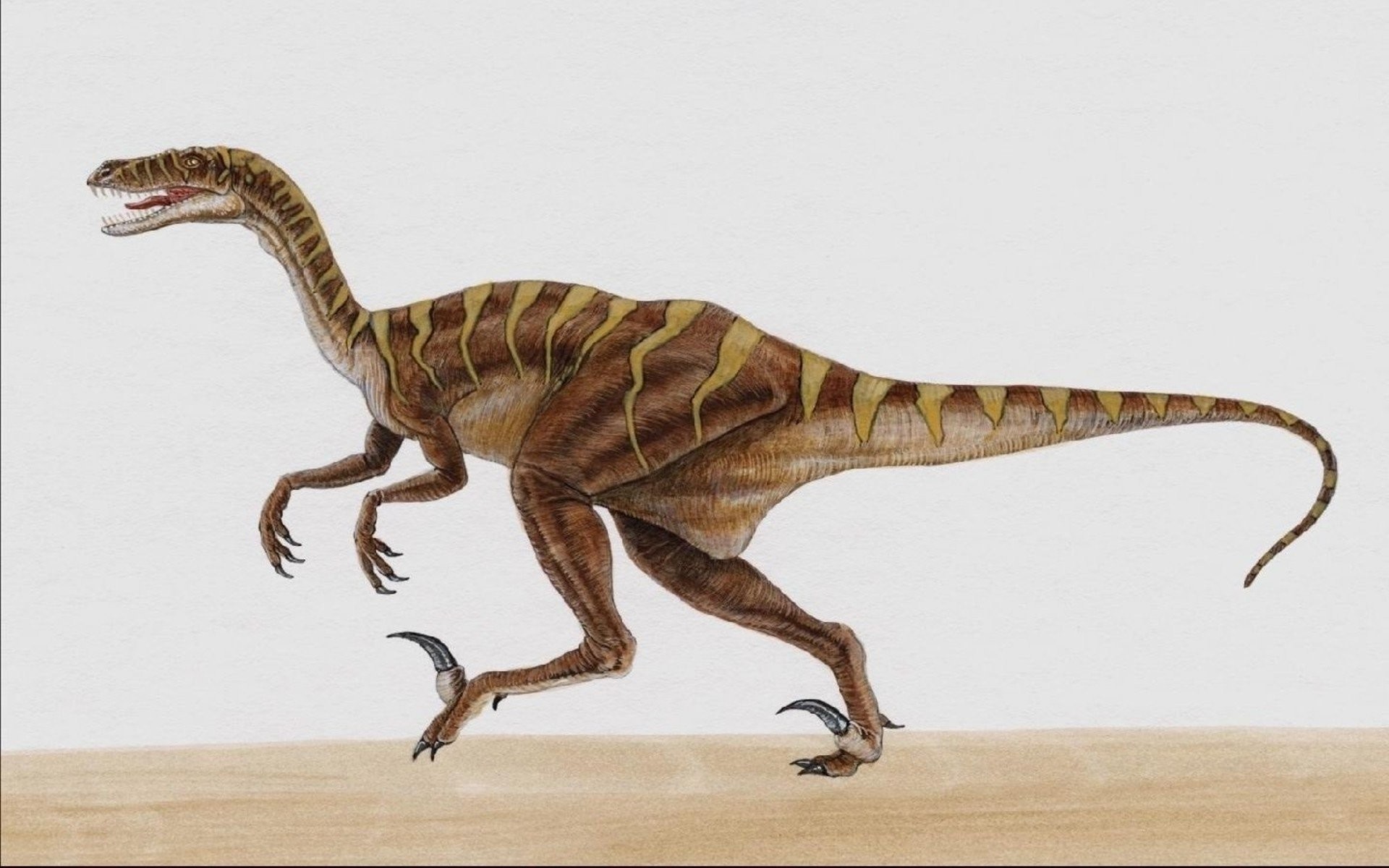 Velociraptor 1920x1200