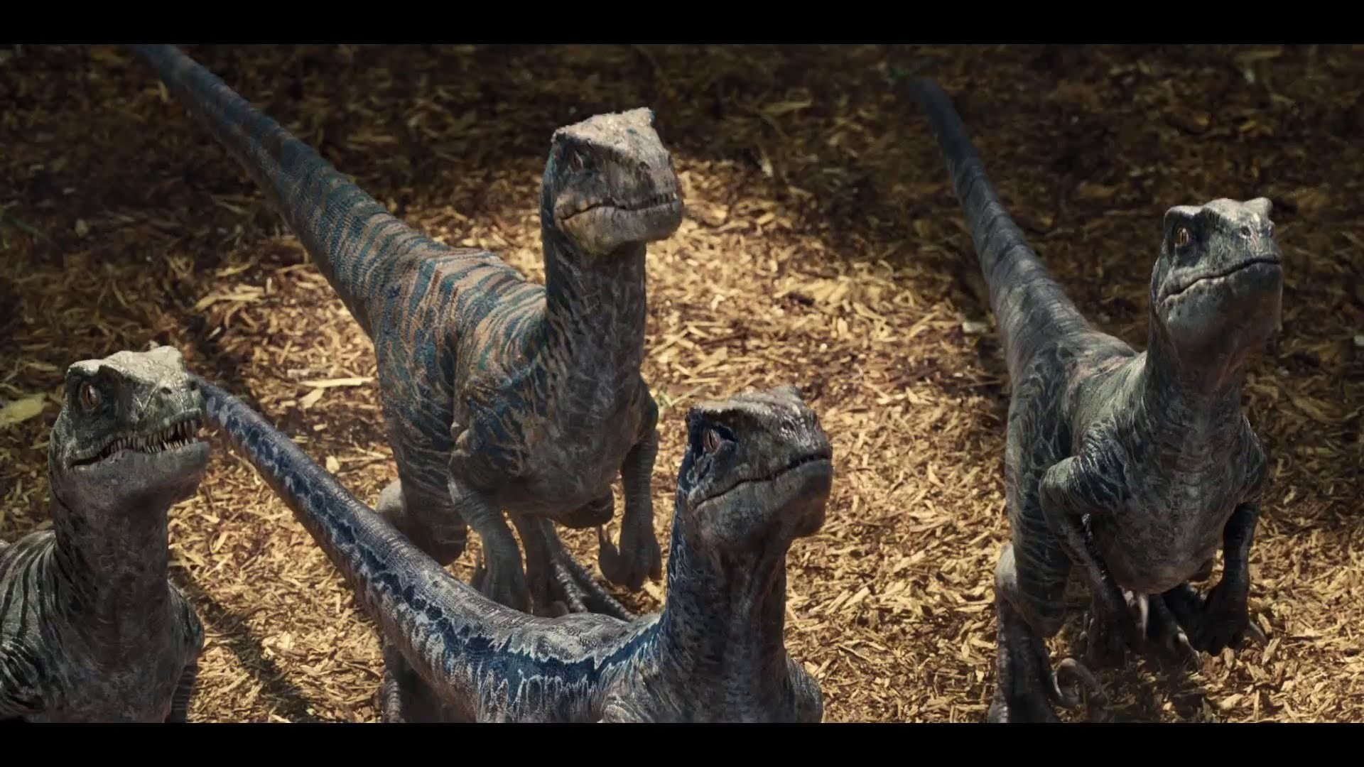 Jurassic World Sequel Movie News Trailers Cast And Plot Page 5 1920x1080