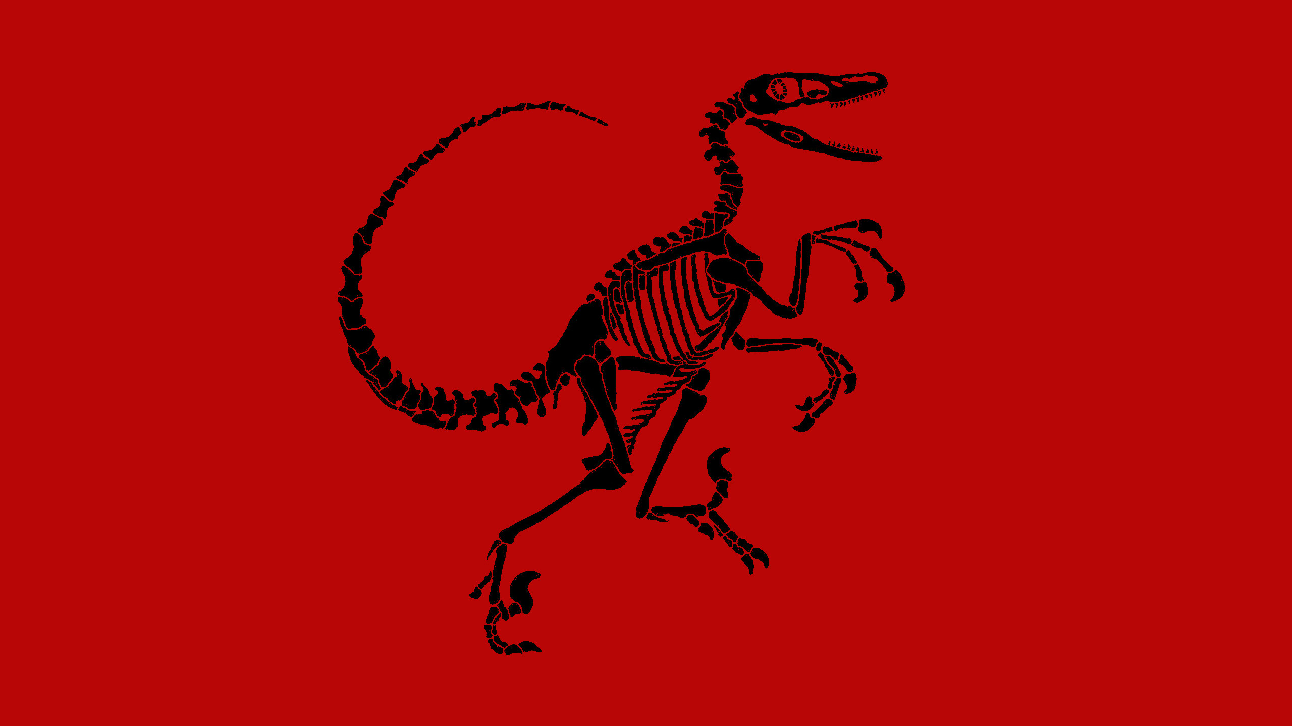 Animal Dinosaur Velociraptor Wallpaper 2560x1440