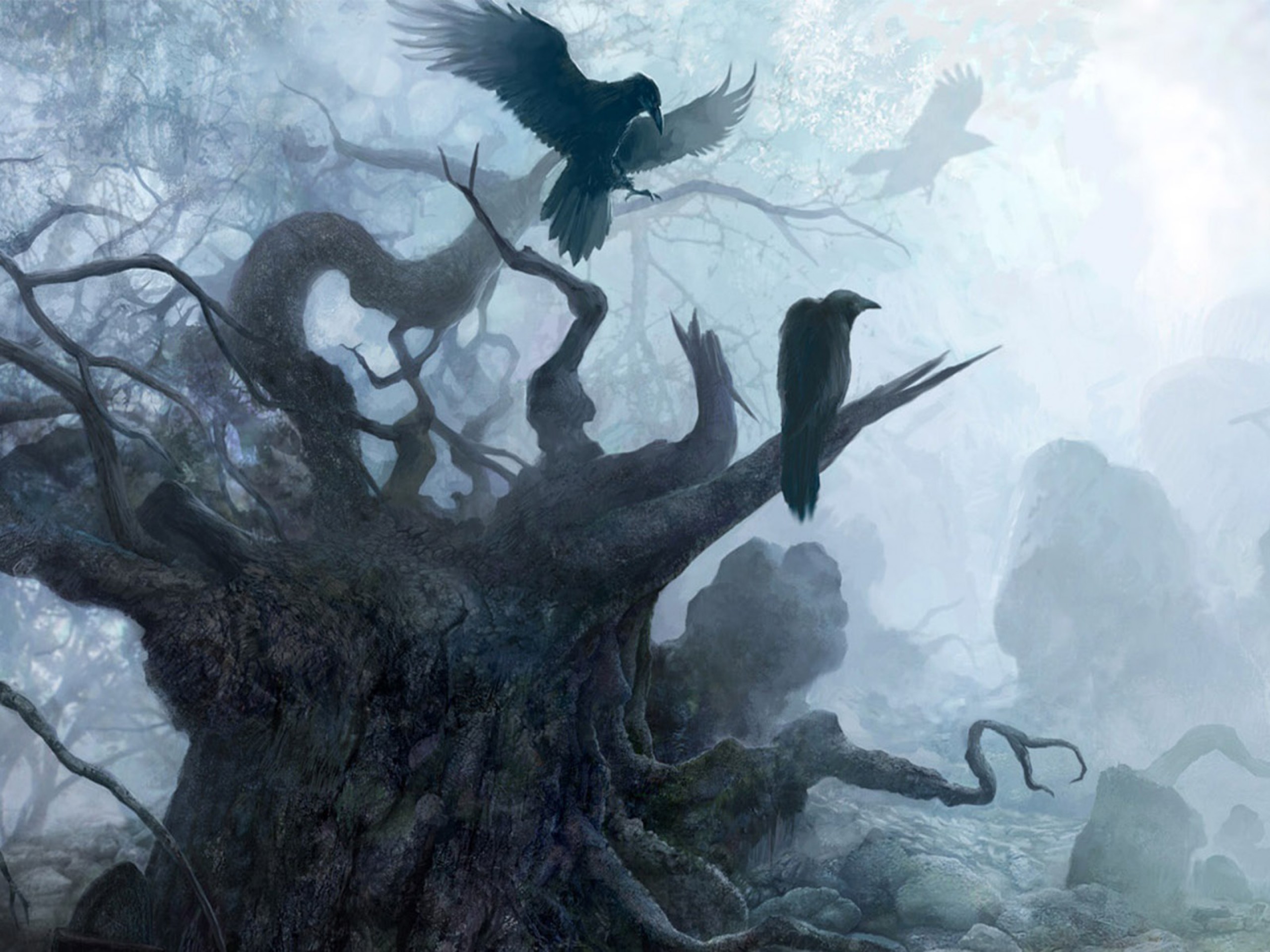 The Witcher Fantasy Dark Raven Death Gothic Halloween F Wallpaper 2560x1920 152066 Wallpaperup 2560x1920