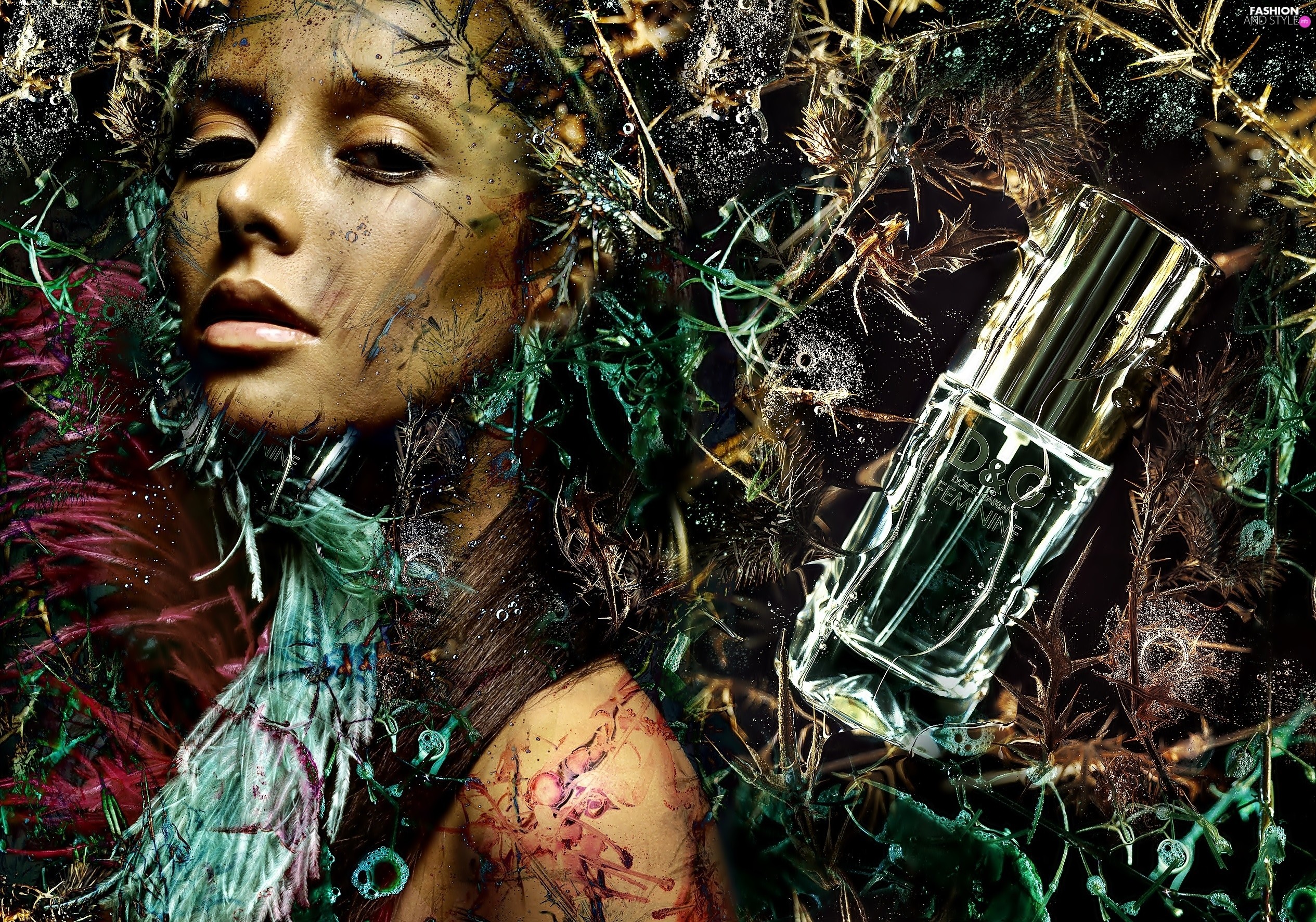 Women Perfume Dolce Amp Gabbana 2530x1772