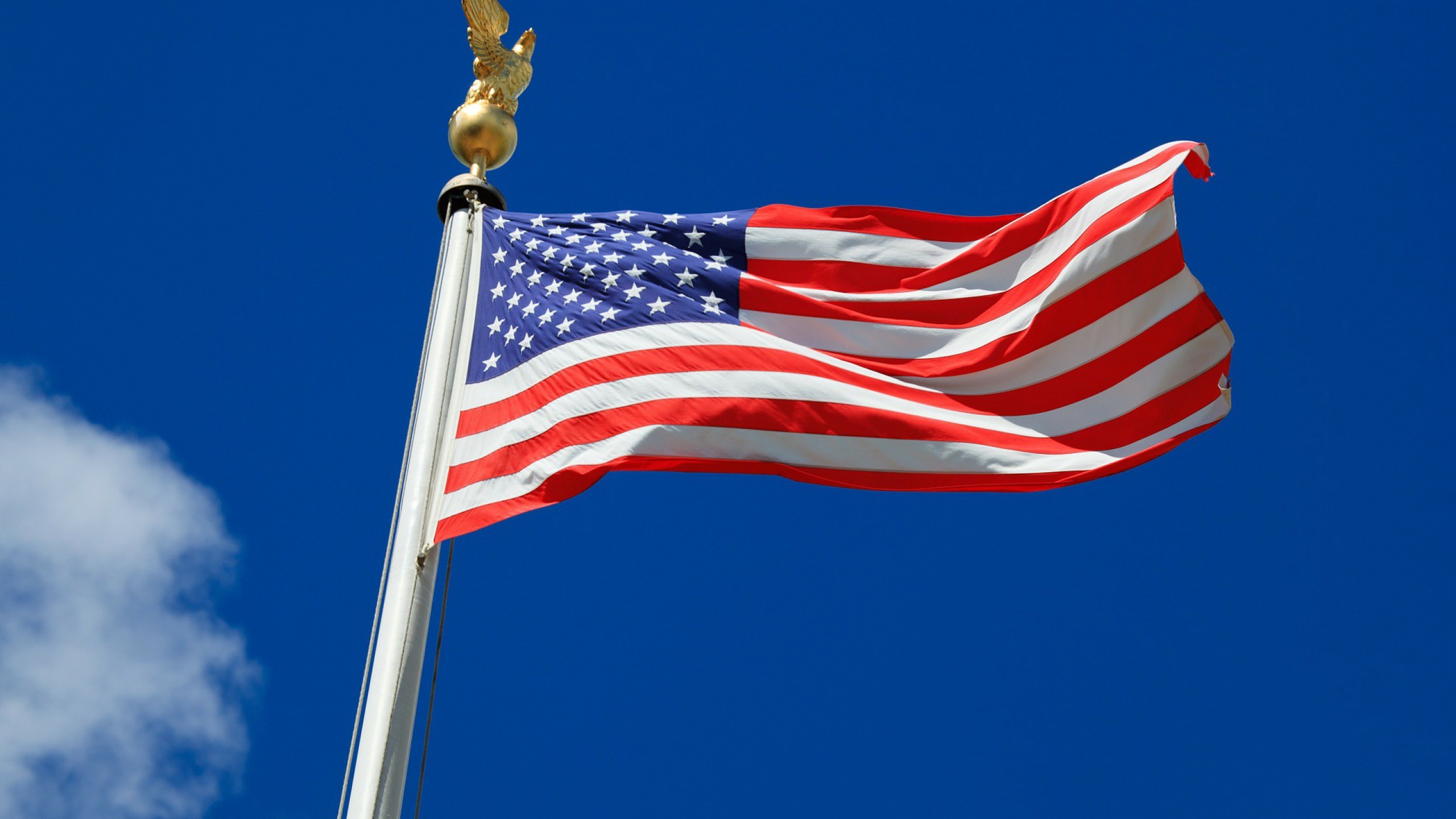 American Flag Wallpapers American Flag Live Images 2560x1440