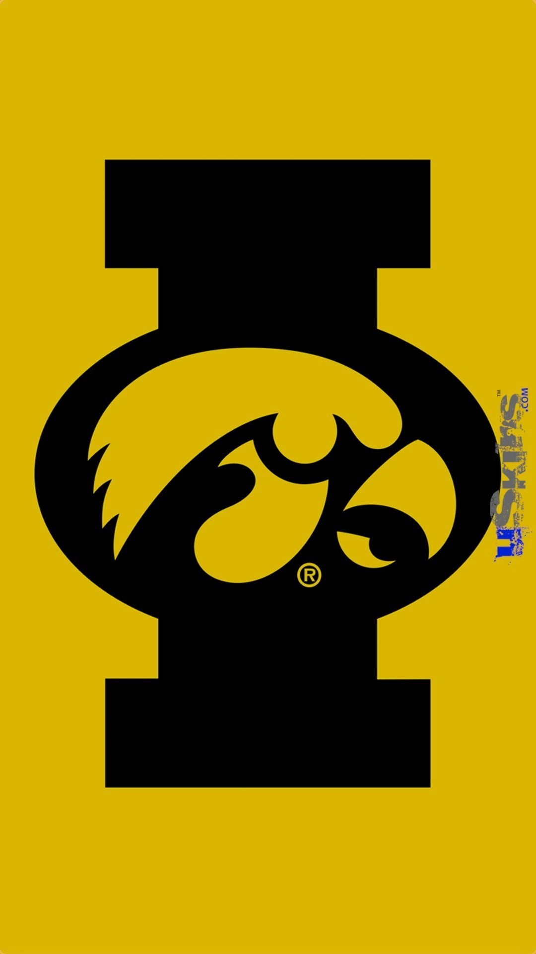 1920x1200 University Of Iowa Gold With Black Hawkeye Flag 1080x1920