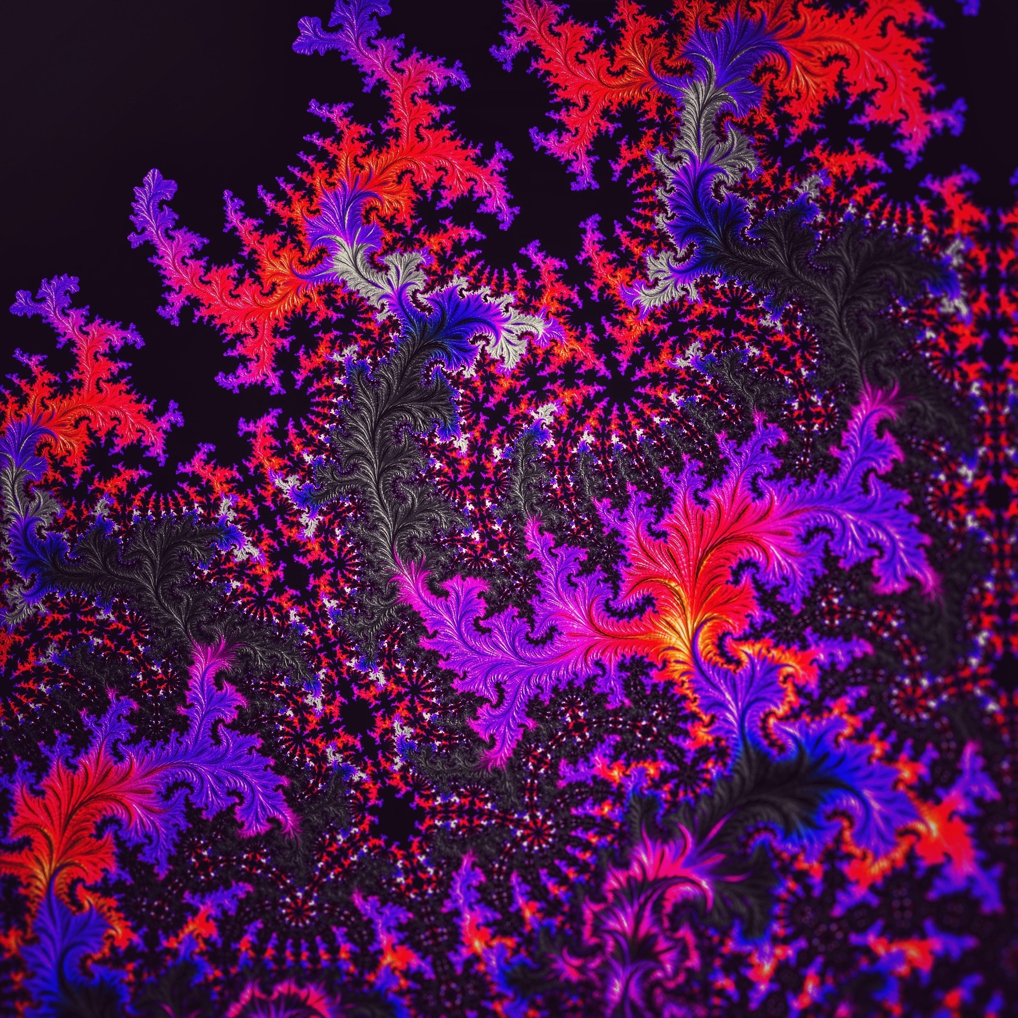 Fractal Orange Purple Curves On A Black Background Free Download 2048x2048