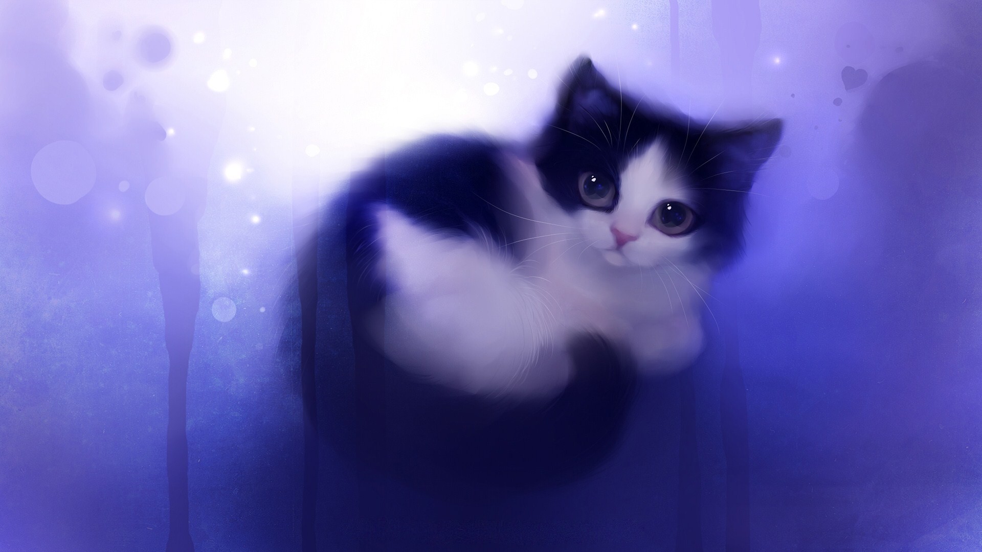 The Cat Itself Is Adorable I 039 M Really Liking The Blue Light Running Along 1920x1080