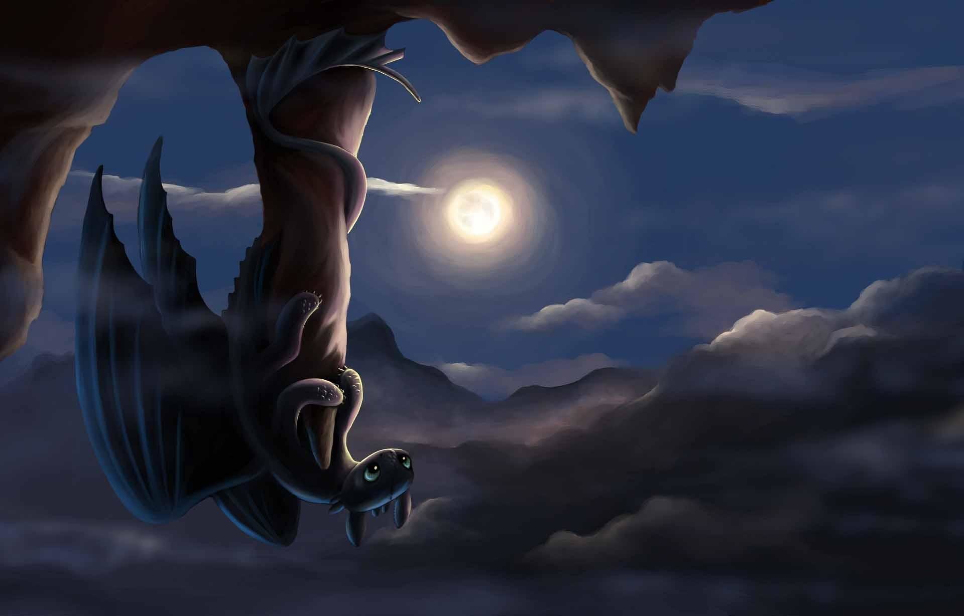 How To Train Your Dragon Hd Wallpapers Backgrounds 1920 1040 How To Train A Dragon 1920x1228
