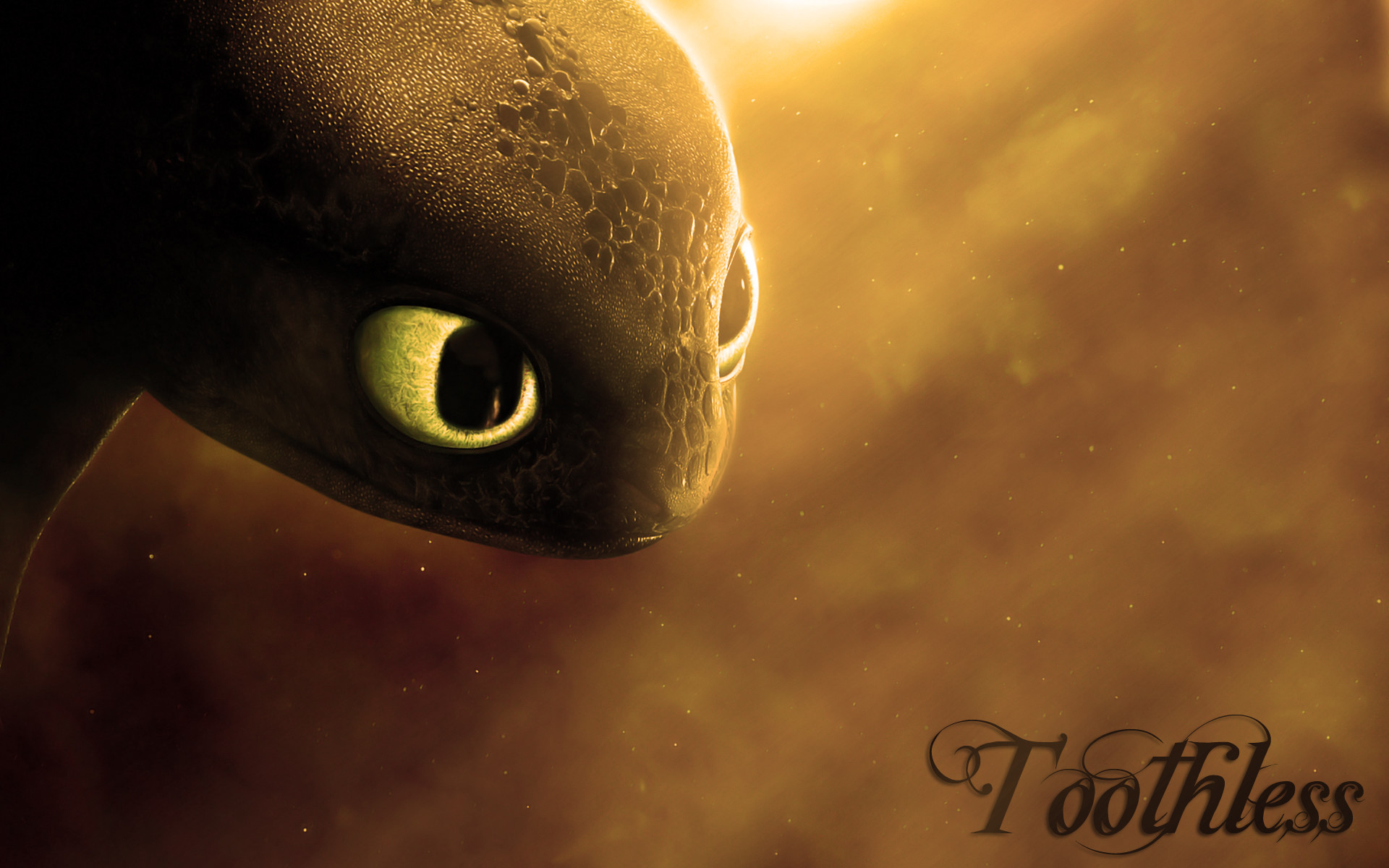 Train Your Dragon Toothless Wallpaper 1920x1200