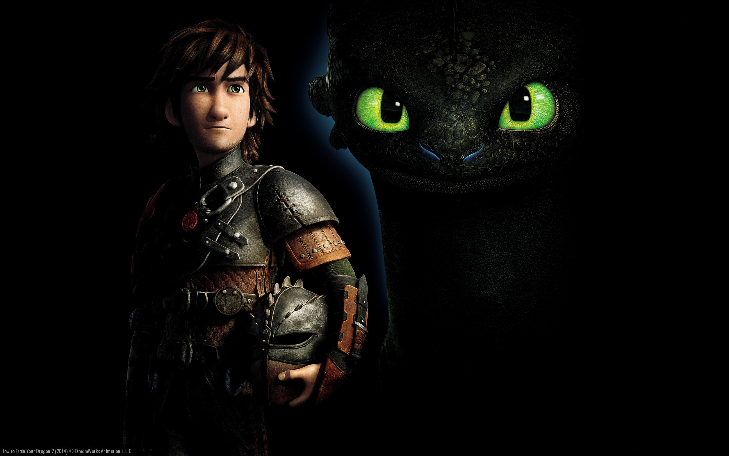 How To Train Your Dragon 2 2560x1600