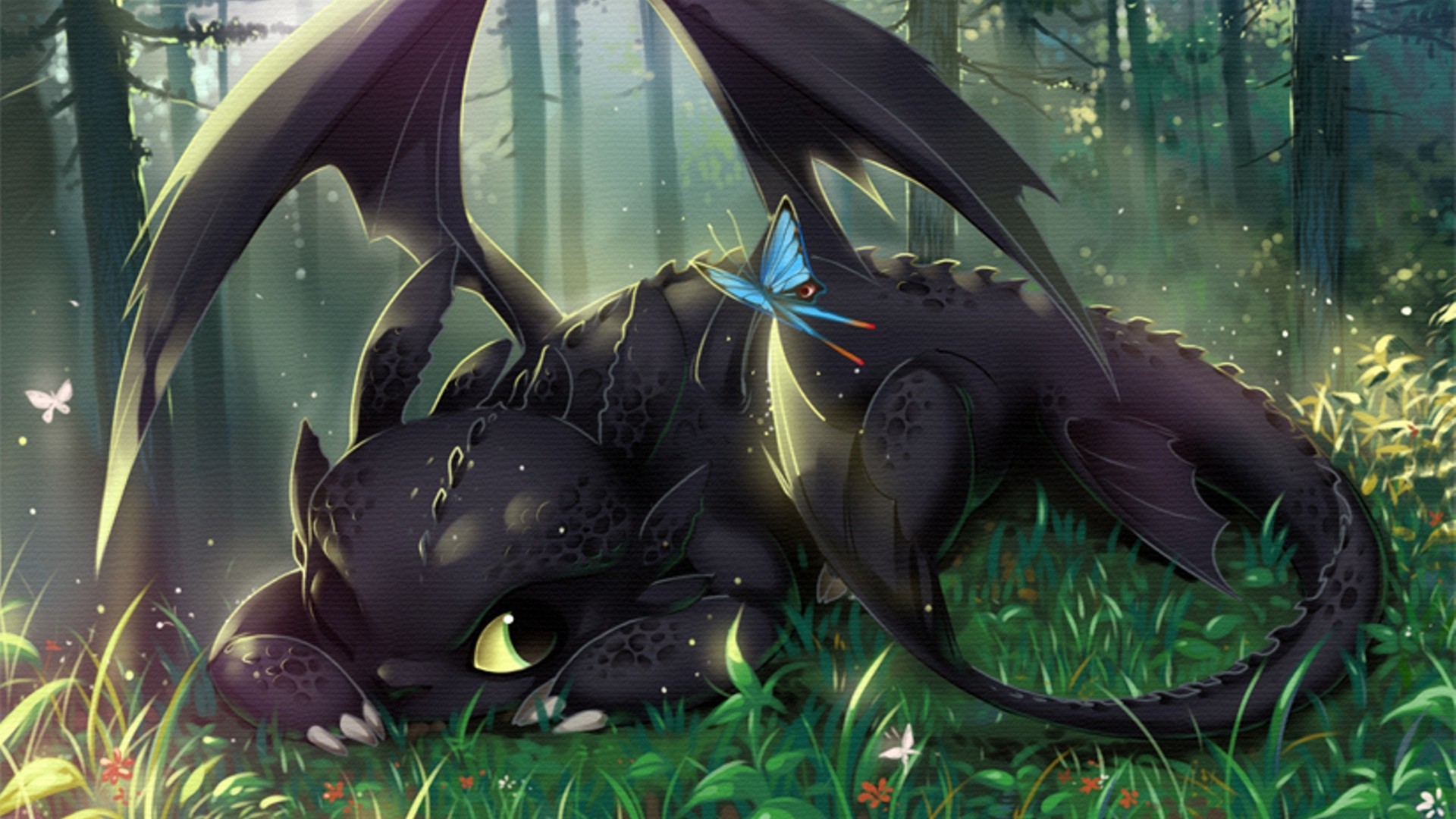 How To Train Your Dragon Toothless Wallpapers Hd Desktop And Mobile Backgrounds 1920x1080
