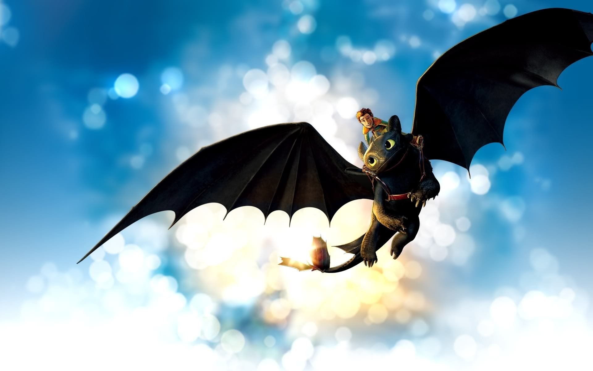 Toothless The Dragon Wallpapers 46 Wallpapers 1920x1200