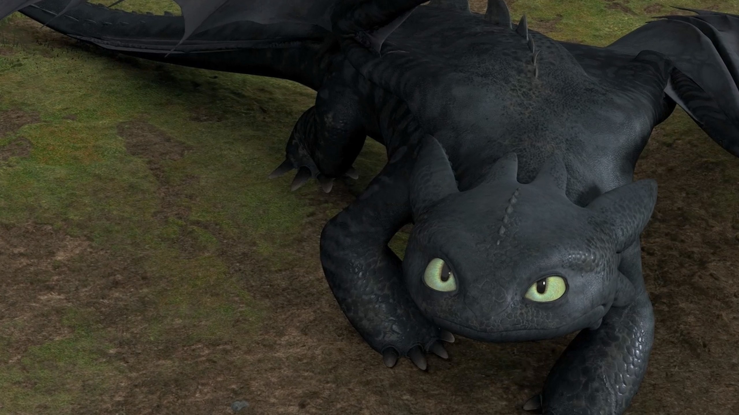 Movie Toothless Wallpaper 2560x1440