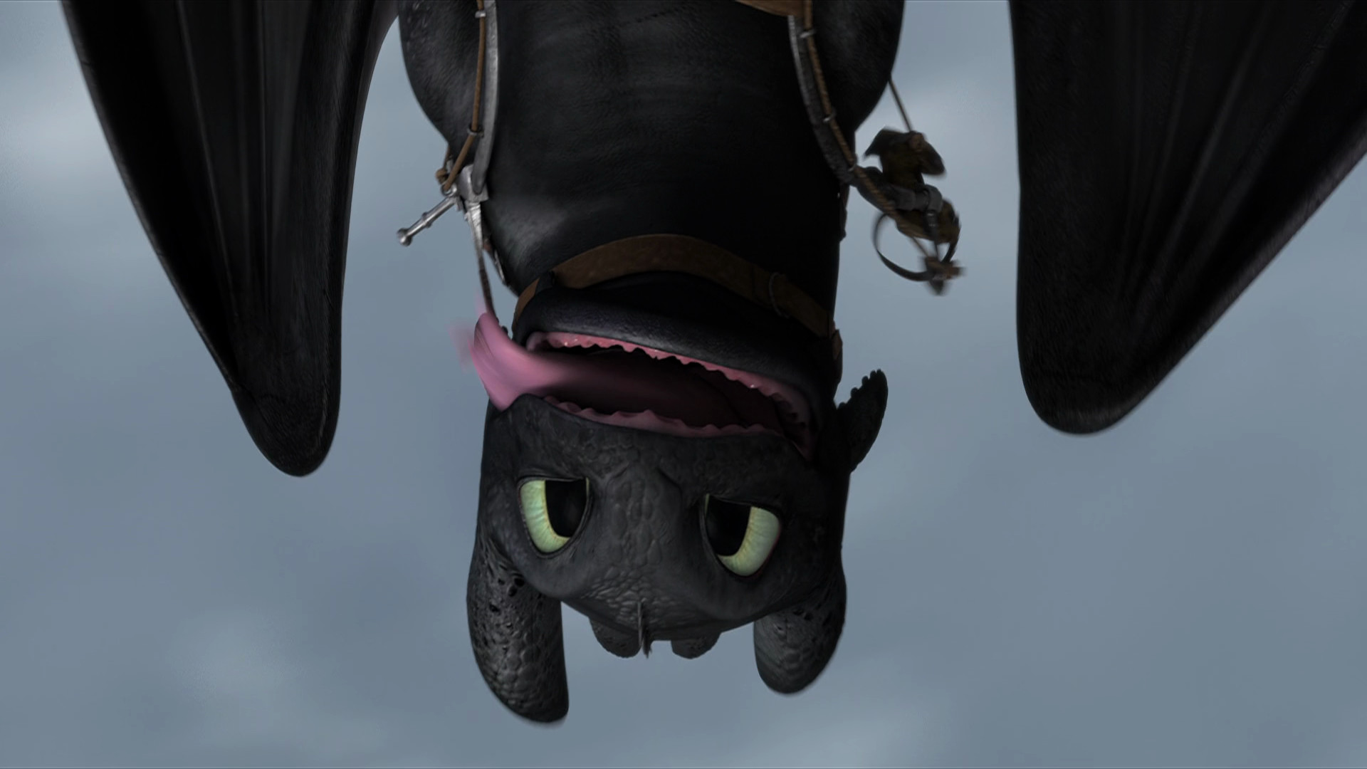 Movie How To Train Your Dragon 2 Toothless How To Train Your Dragon 1920x1080